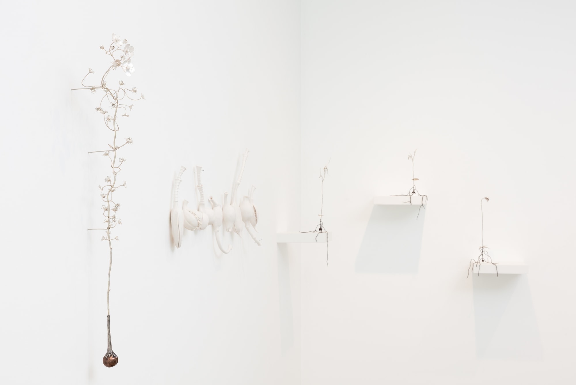 Sarah Rayner & Sophie Carnell