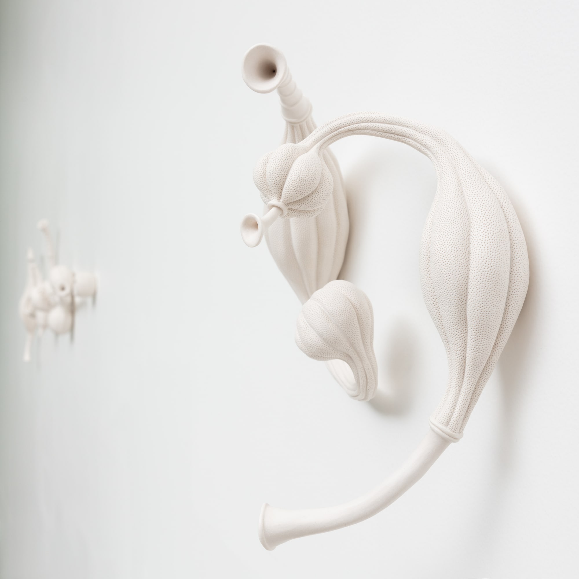 Sarah Rayner & Sophie Carnell