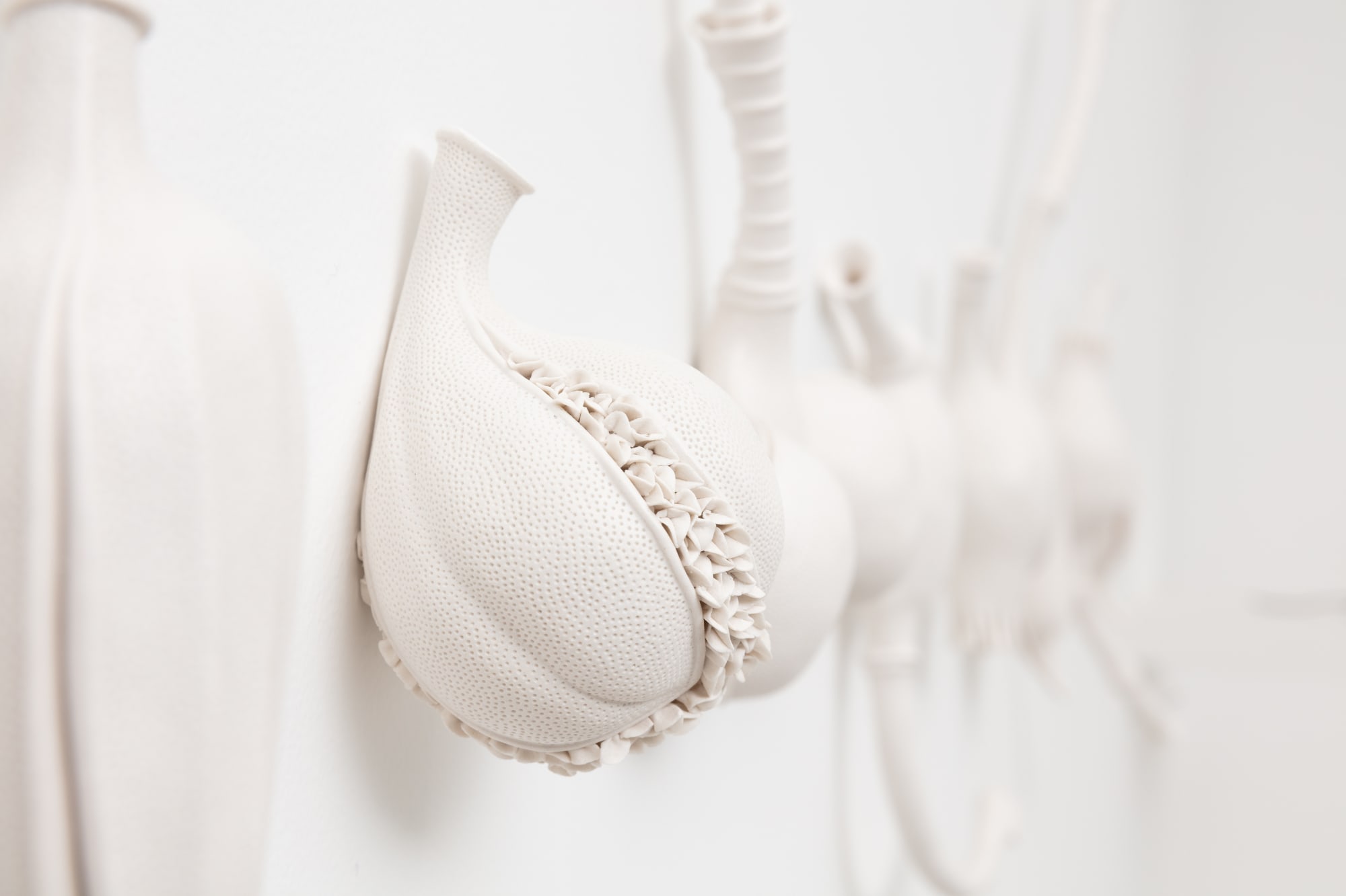 Sarah Rayner & Sophie Carnell