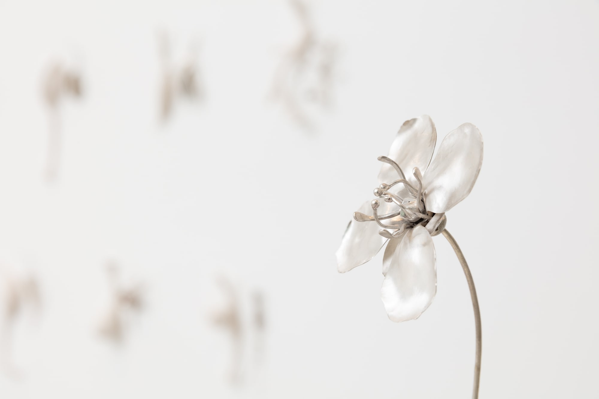 Sarah Rayner & Sophie Carnell