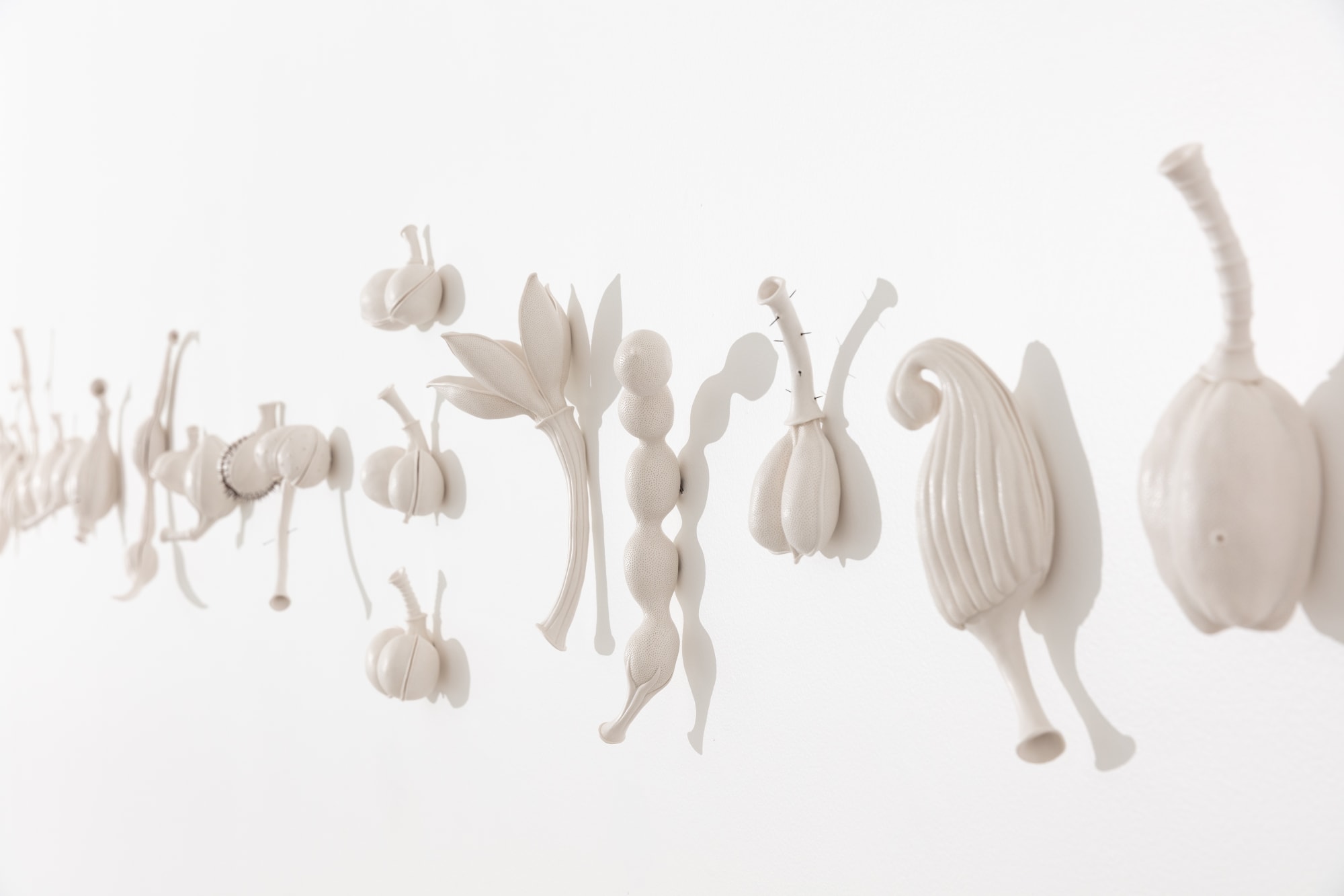 Photography By Simon Hewson