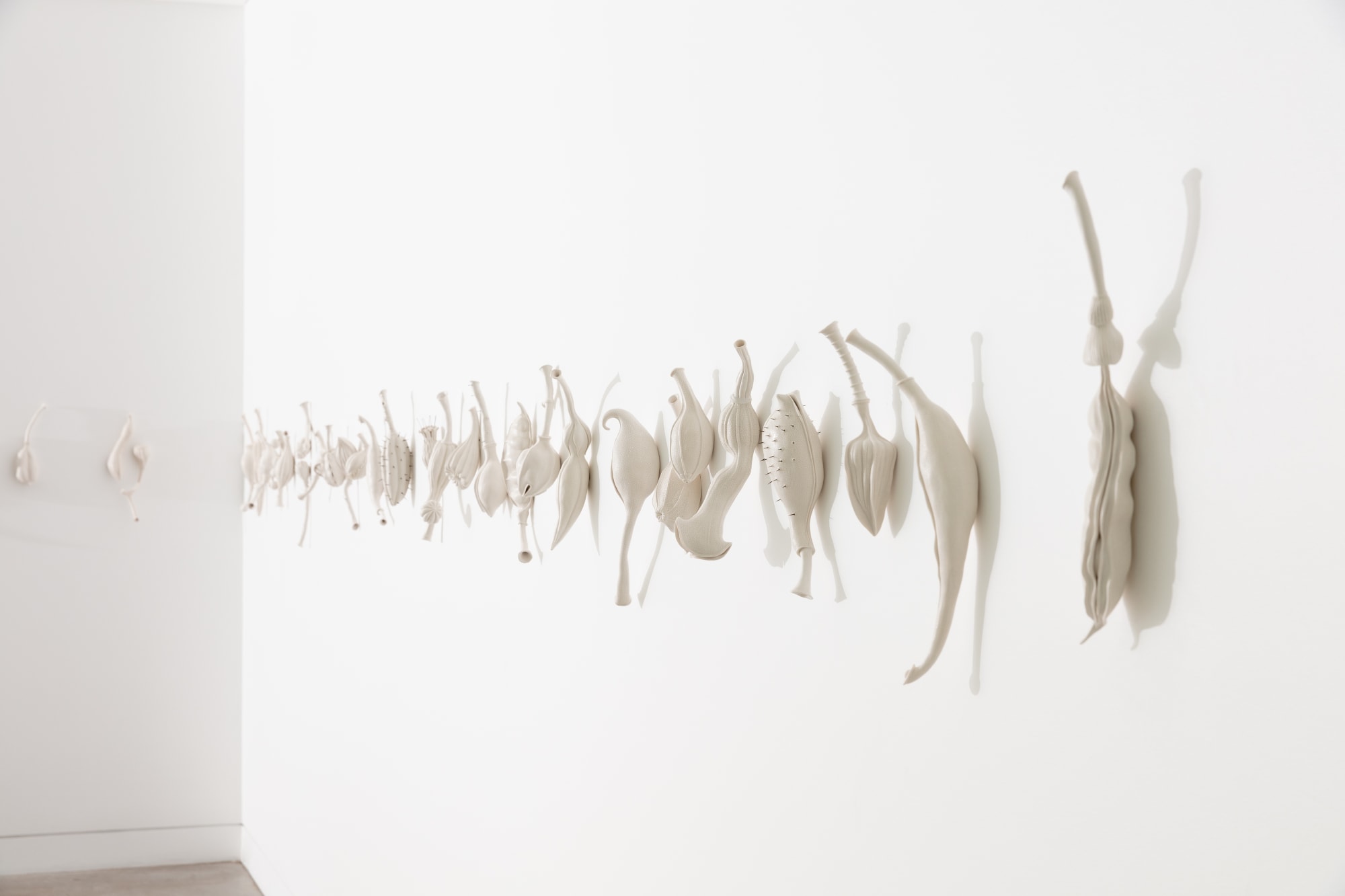 Photography By Simon Hewson