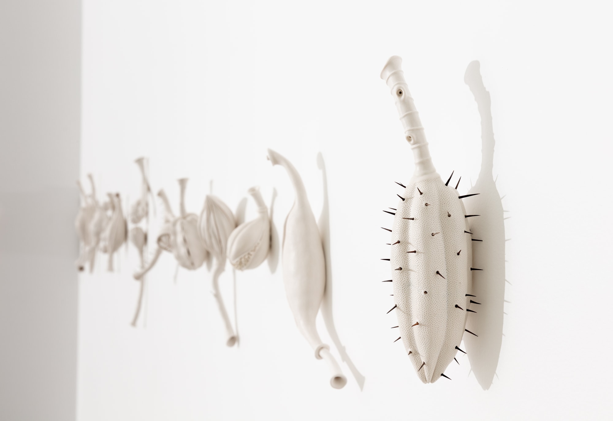 Photography By Simon Hewson