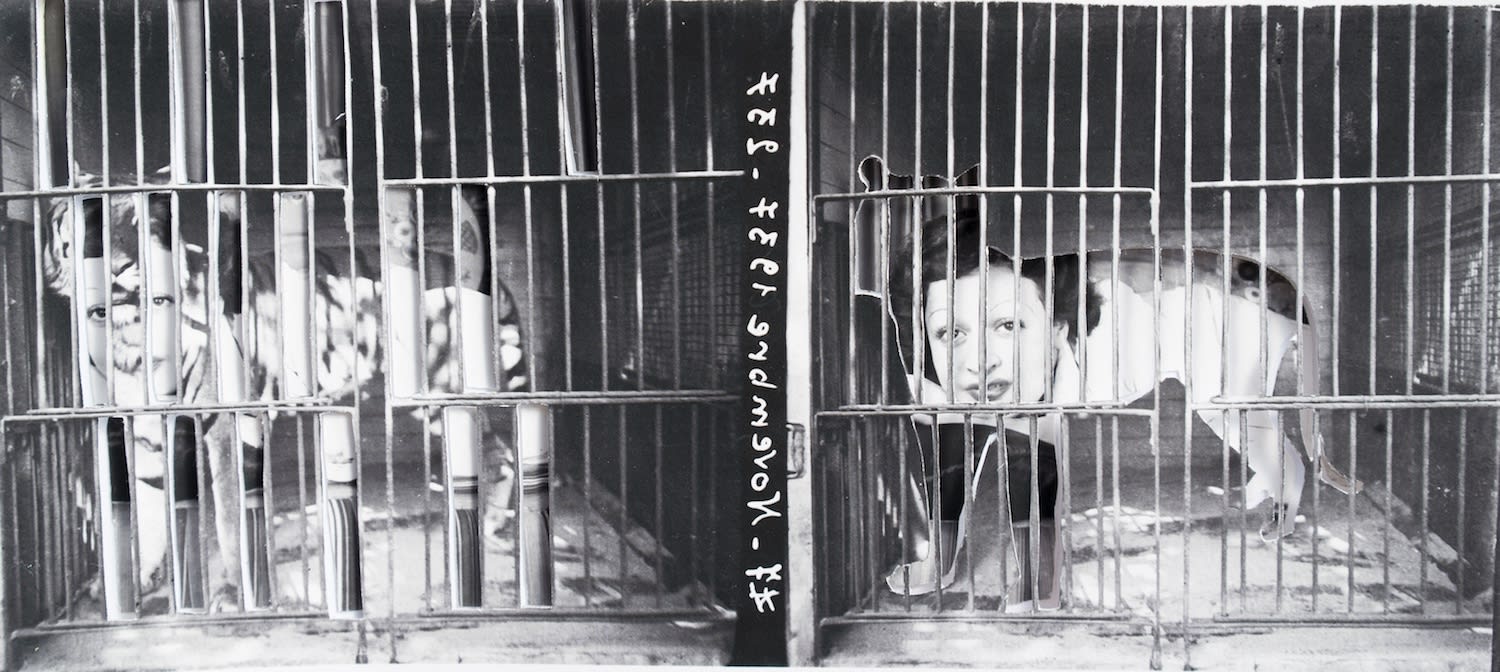 Yesmine Ben Khelil, Une femme, un tigre et une cage (II), 2015