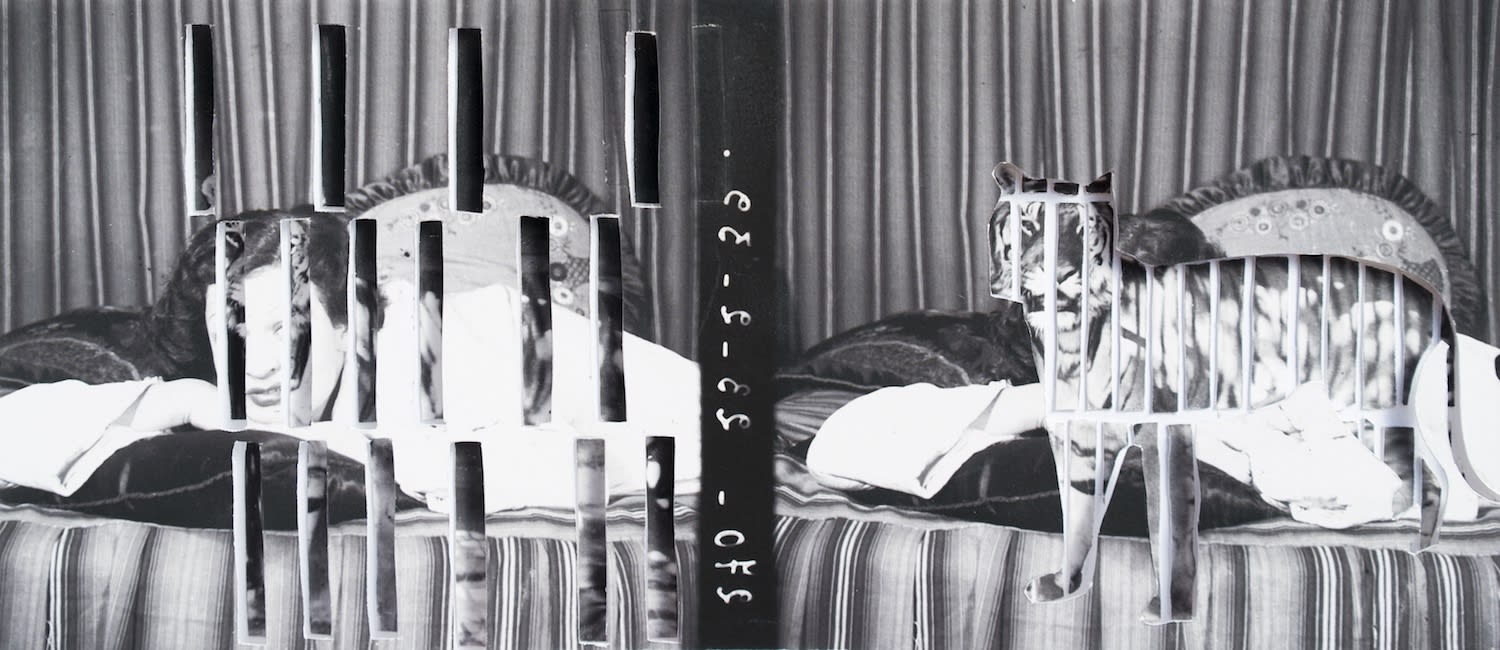 Yesmine Ben Khelil, Une femme, un tigre et une cage (III), 2015