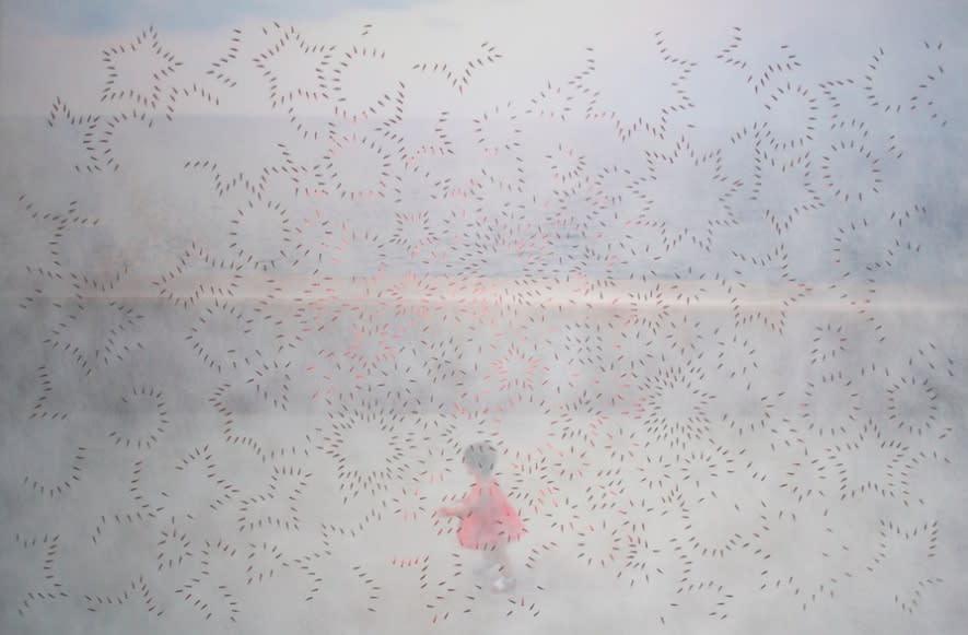 Raja Aissa, Volatile XIII, 2014