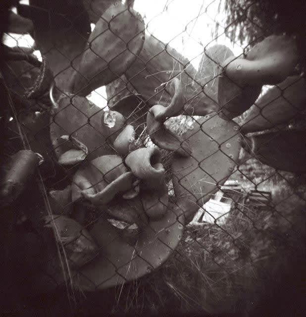 Ziad Antar, Untitled (I) ; South Lebanon , 2014