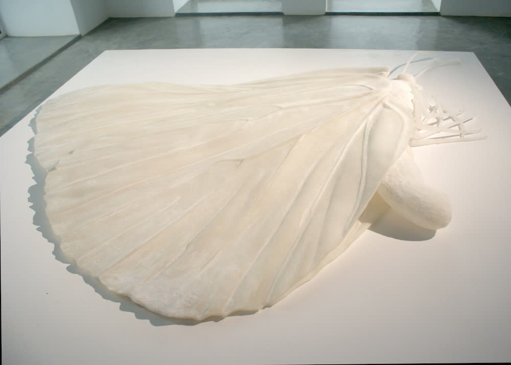 Nicène Kossentini, The Butterfly, 2014