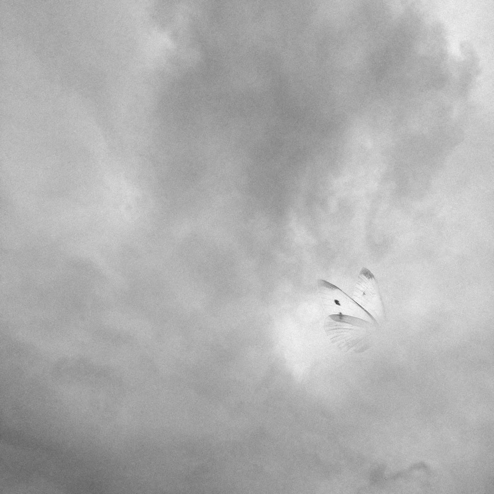 Nicène Kossentini, Envol No. III, 2014