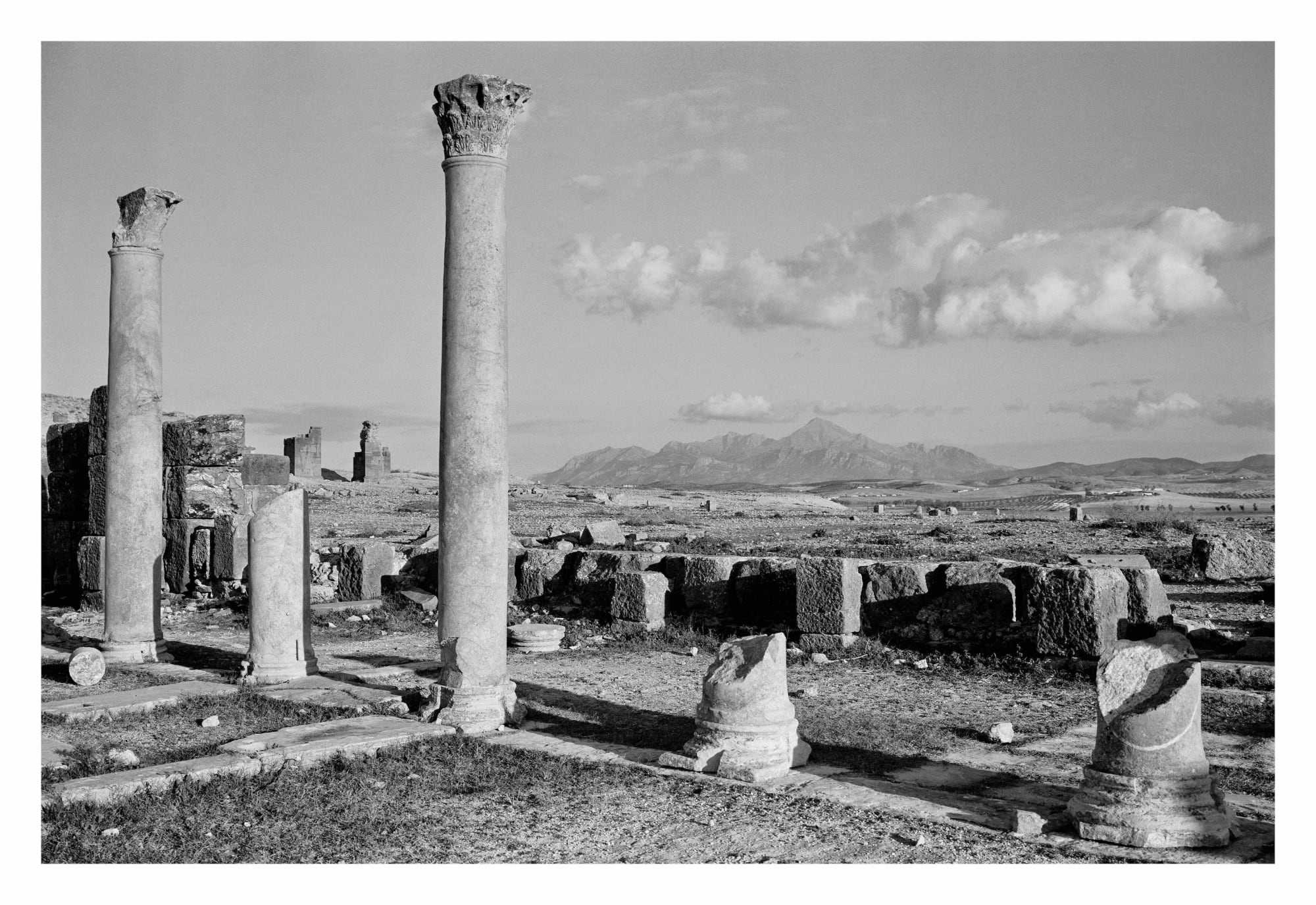 Jellel Gasteli, Thuburbo Majus 19, 1996