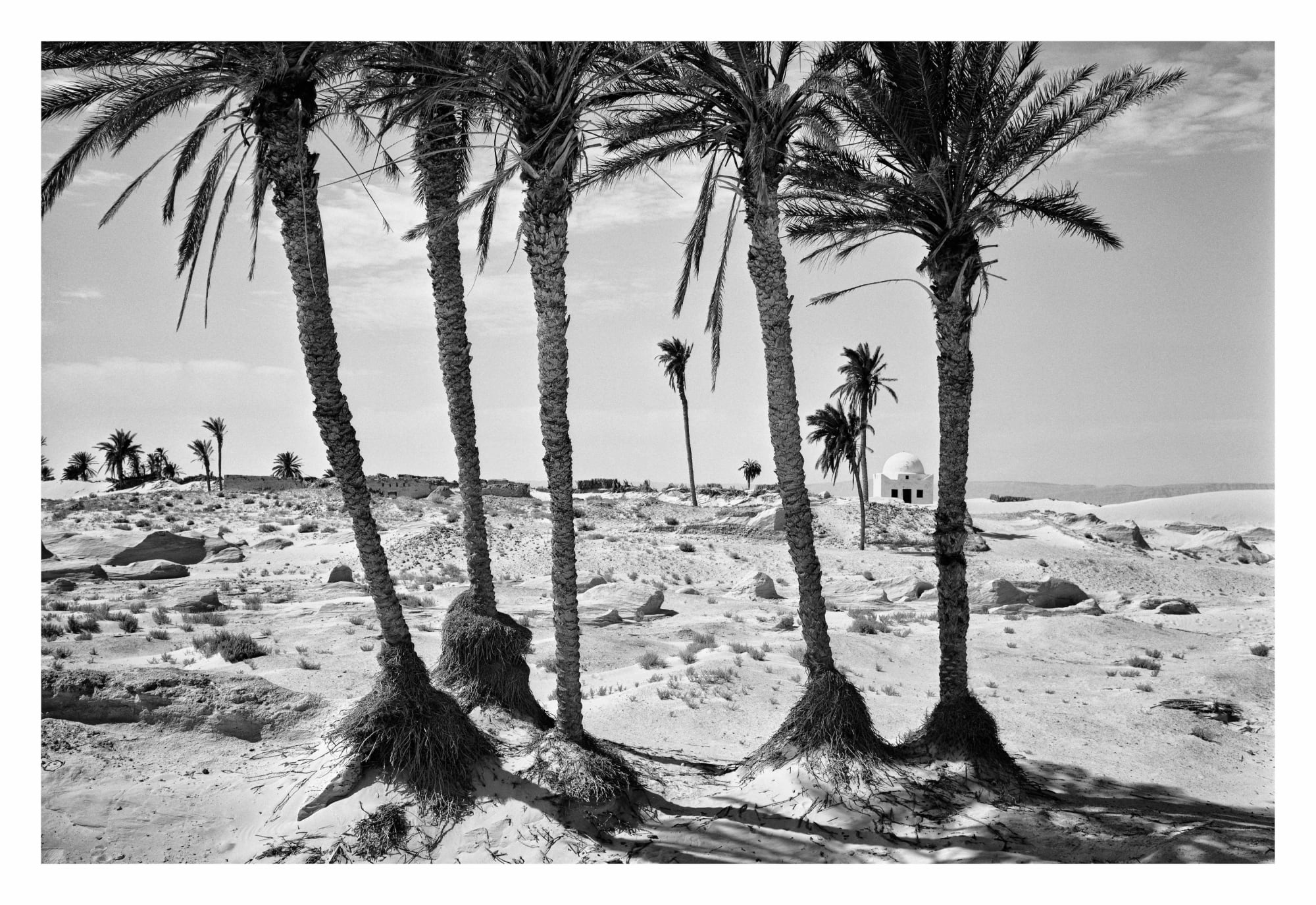 Jellel Gasteli, Debabcha 1, 1996