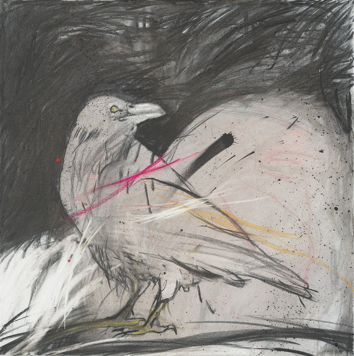 Thameur Mejri, When hope fails you 3, 2022