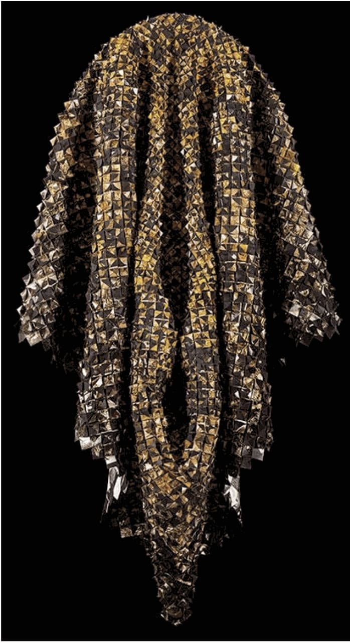 Catalina Swinburn, Pheonix, 2020