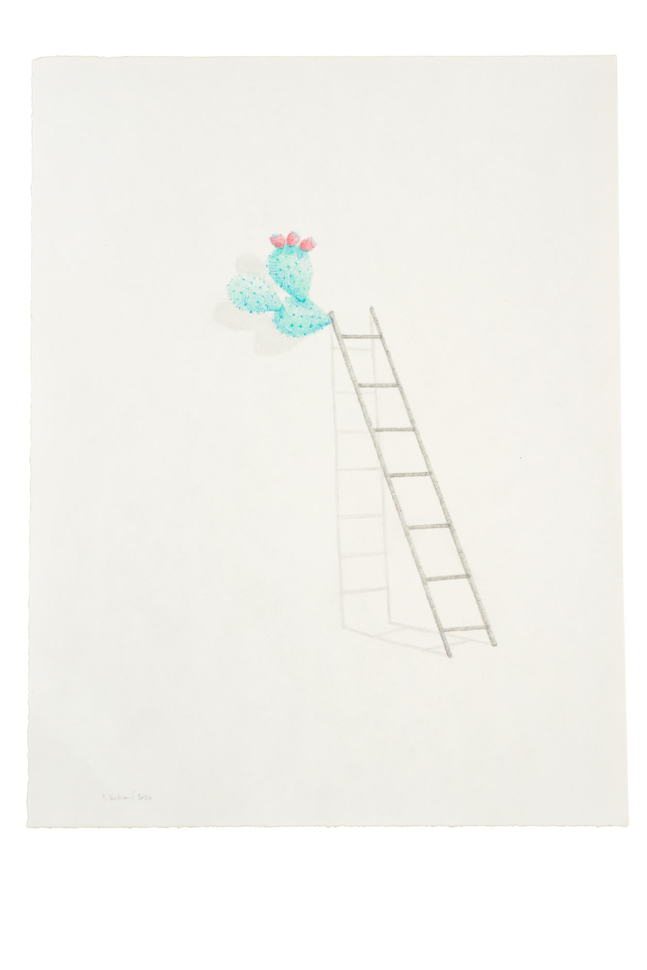 Massinissa Selmani, Bonjour, bonsoir, 2020