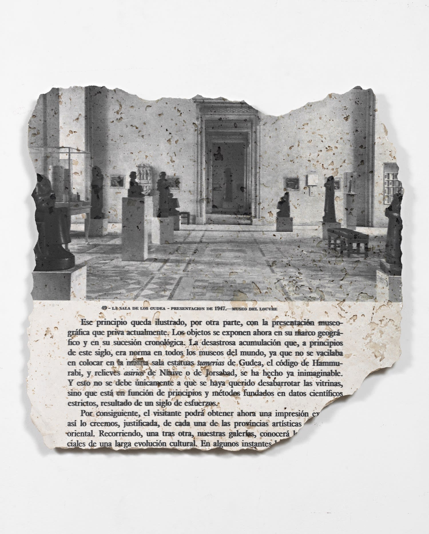 Catalina Swinburn, Annunaki, 2021