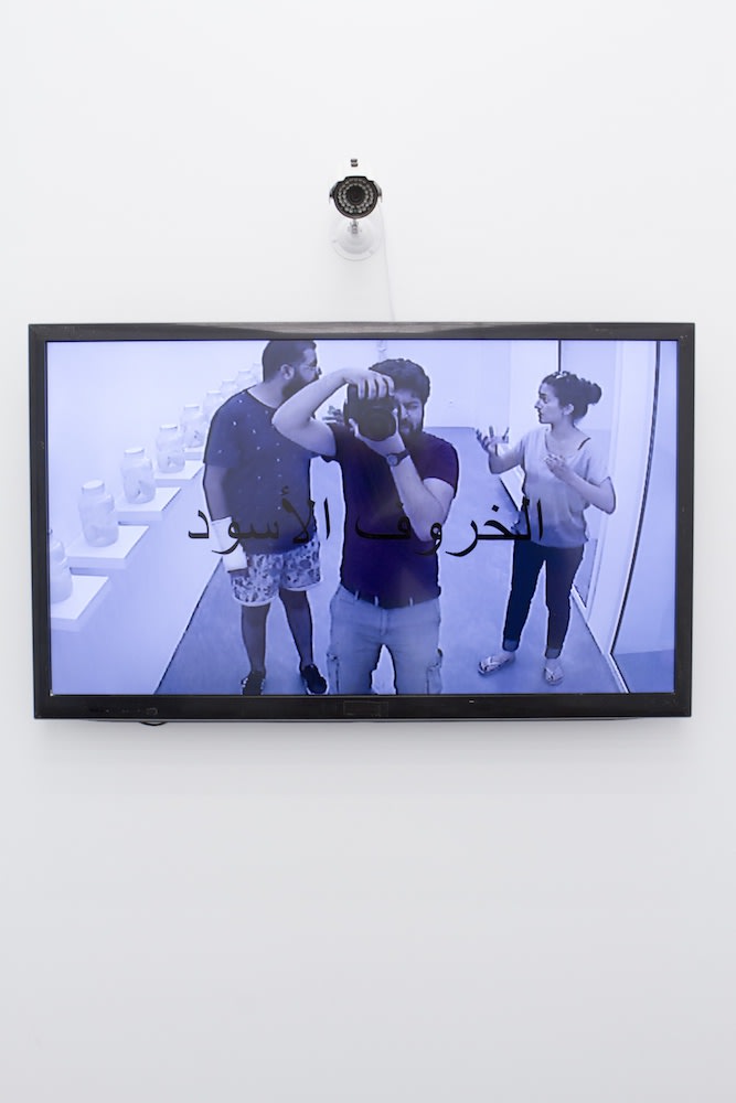 Malek Gnaoui, B.S., 2015