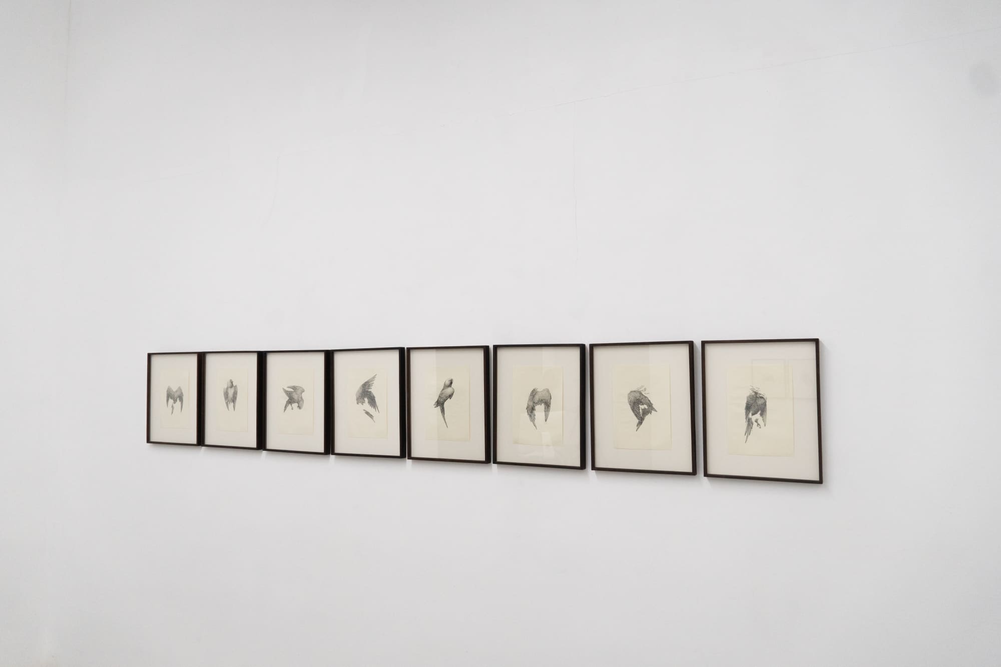 Swept Away Like Leaves