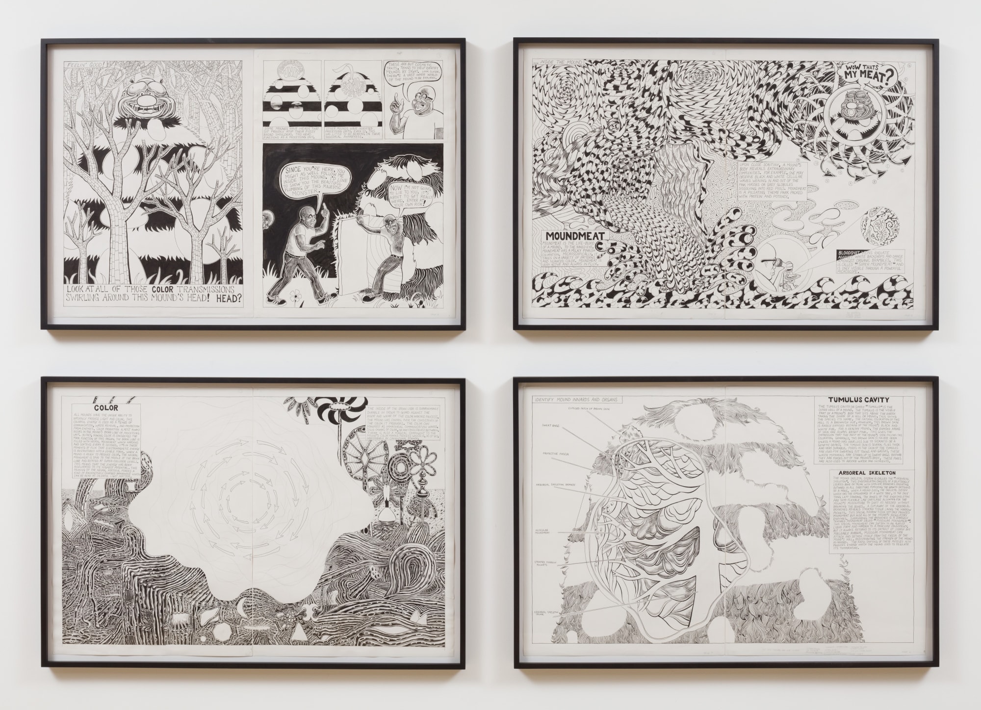 Trenton Doyle Hancock, An Ingénue’s Hues and How to Use Cutty Black Shoes, 2019, Shulamit Nazarian, Los Angeles, installation view