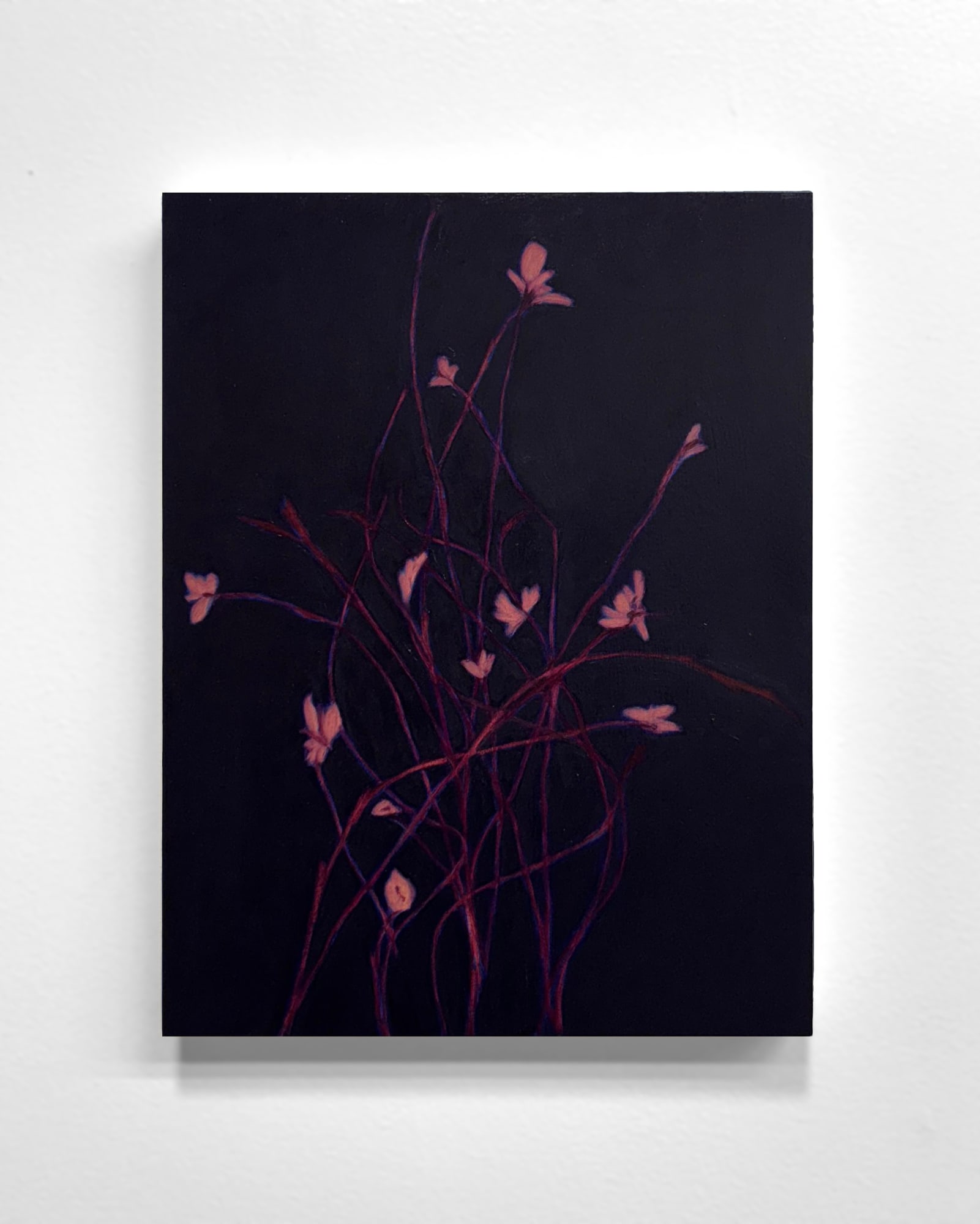 Alexandria Tarver, nights, 75, 2024