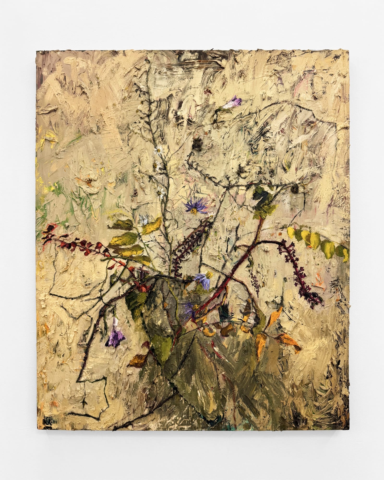 Avital Burg, Late Fall Winter Freeman Street Flower, 2023-2024
