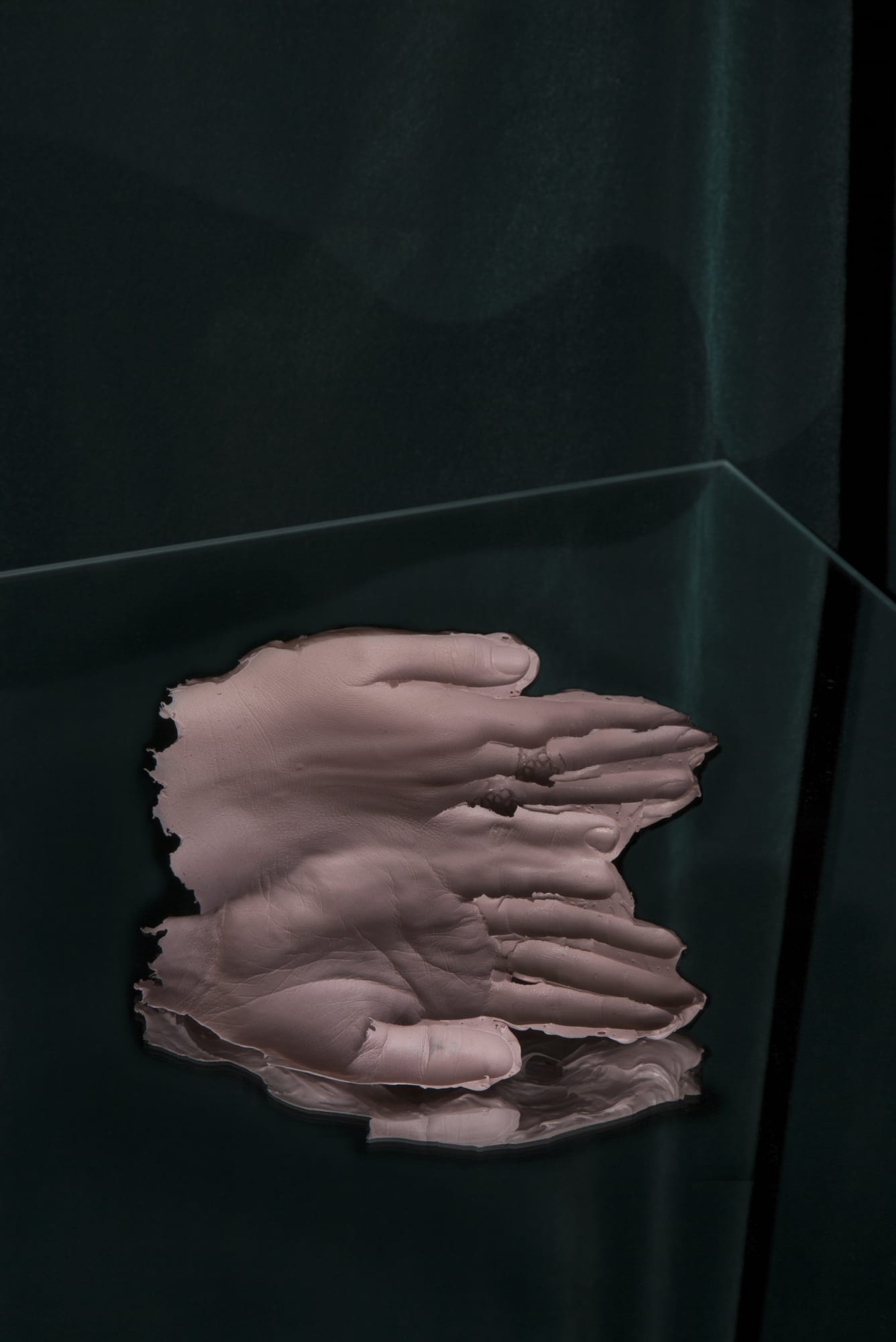 Ilona Szwarc, She was born without a mouth, 2016