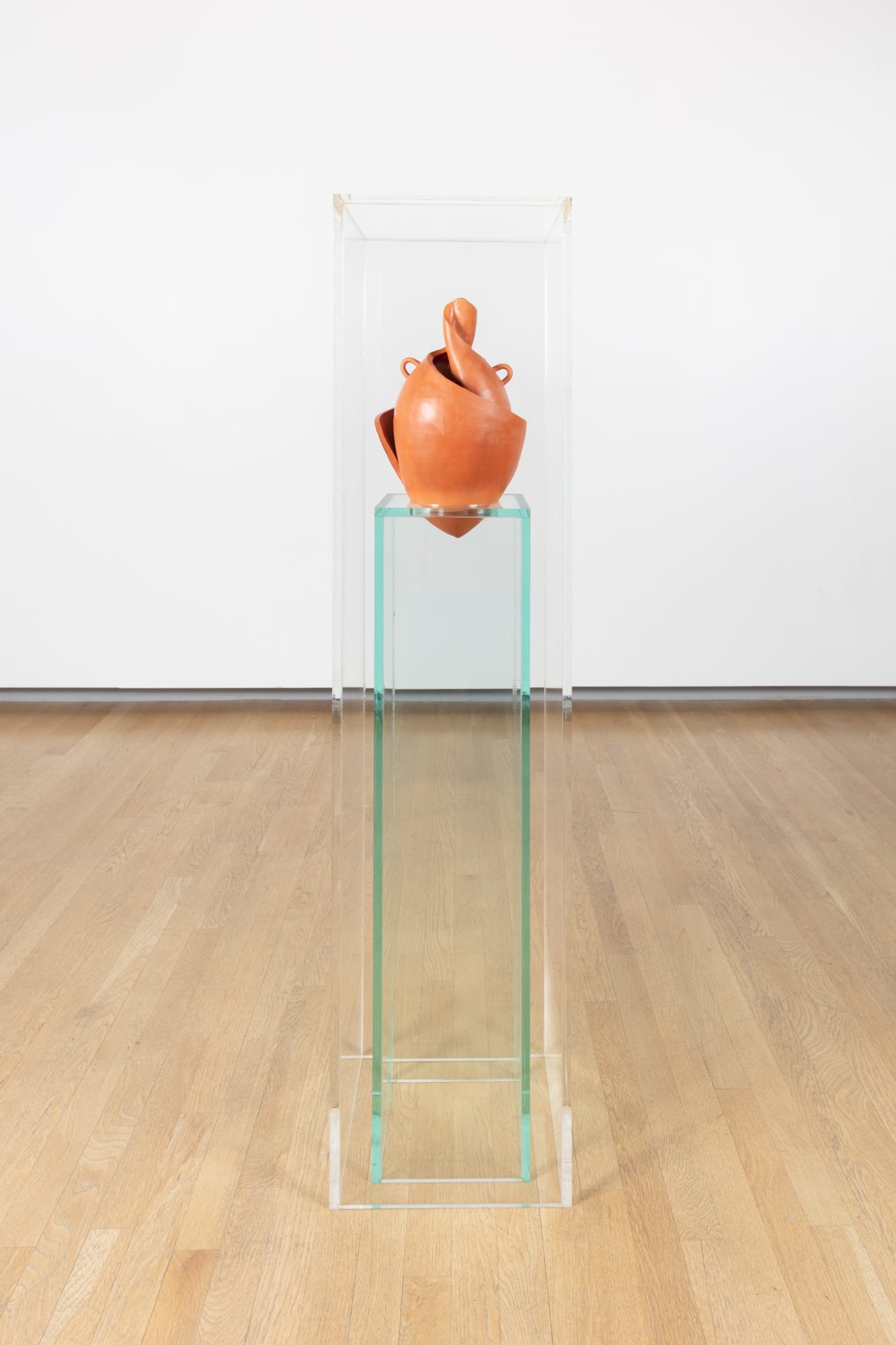 CAMMIE STAROS, Scaphium evolutum, 2020