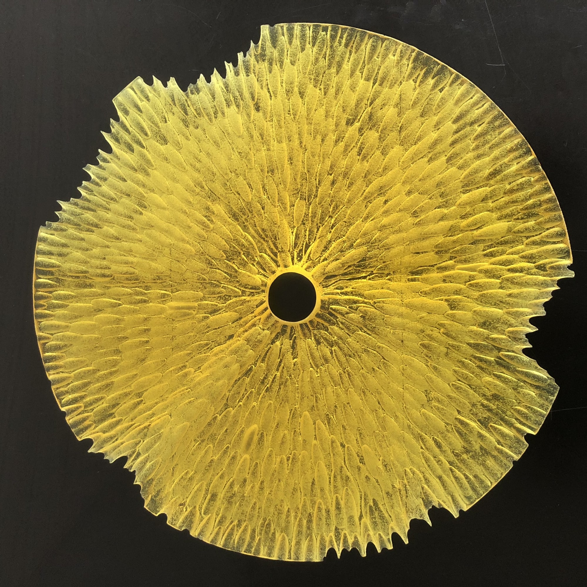 Joe Neeson, Cirque 1 - Yellow