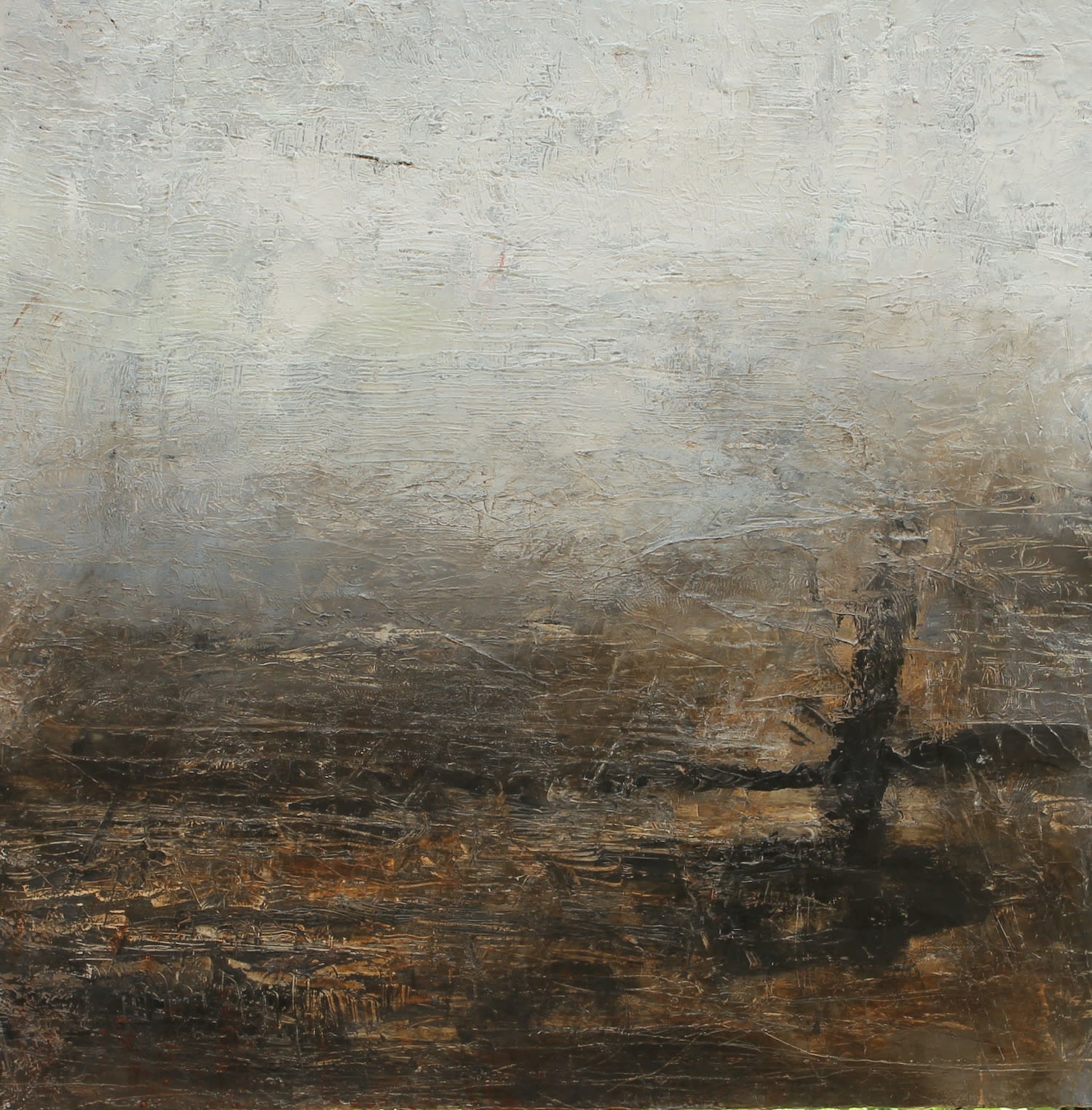 Carol Hodder, Overcast