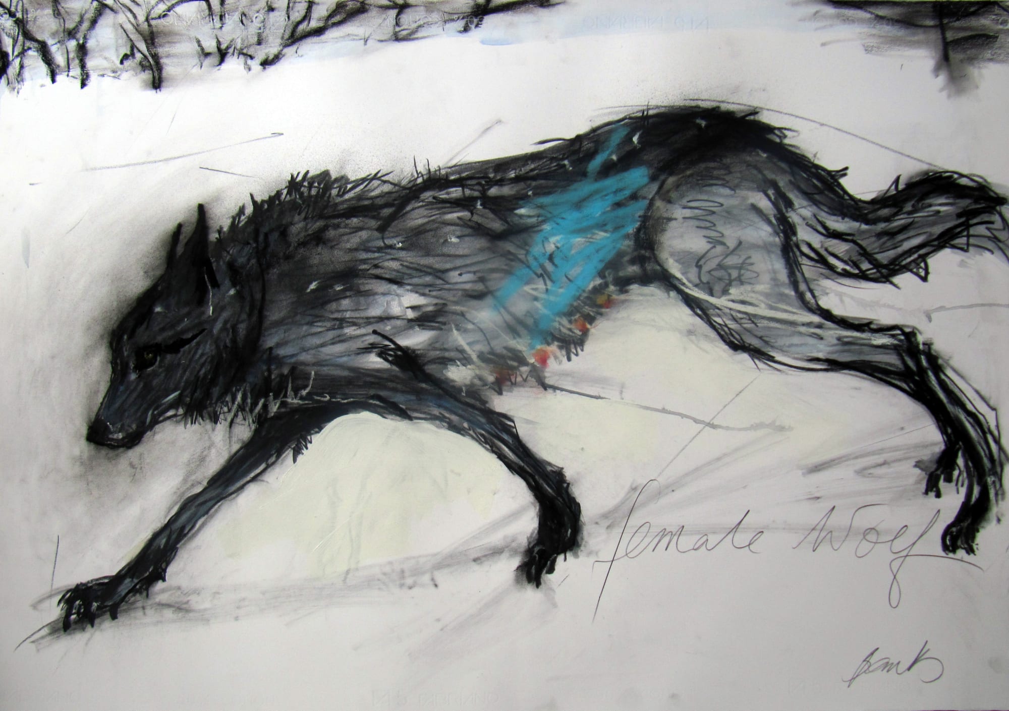 Margo Banks, Female Wolf 5