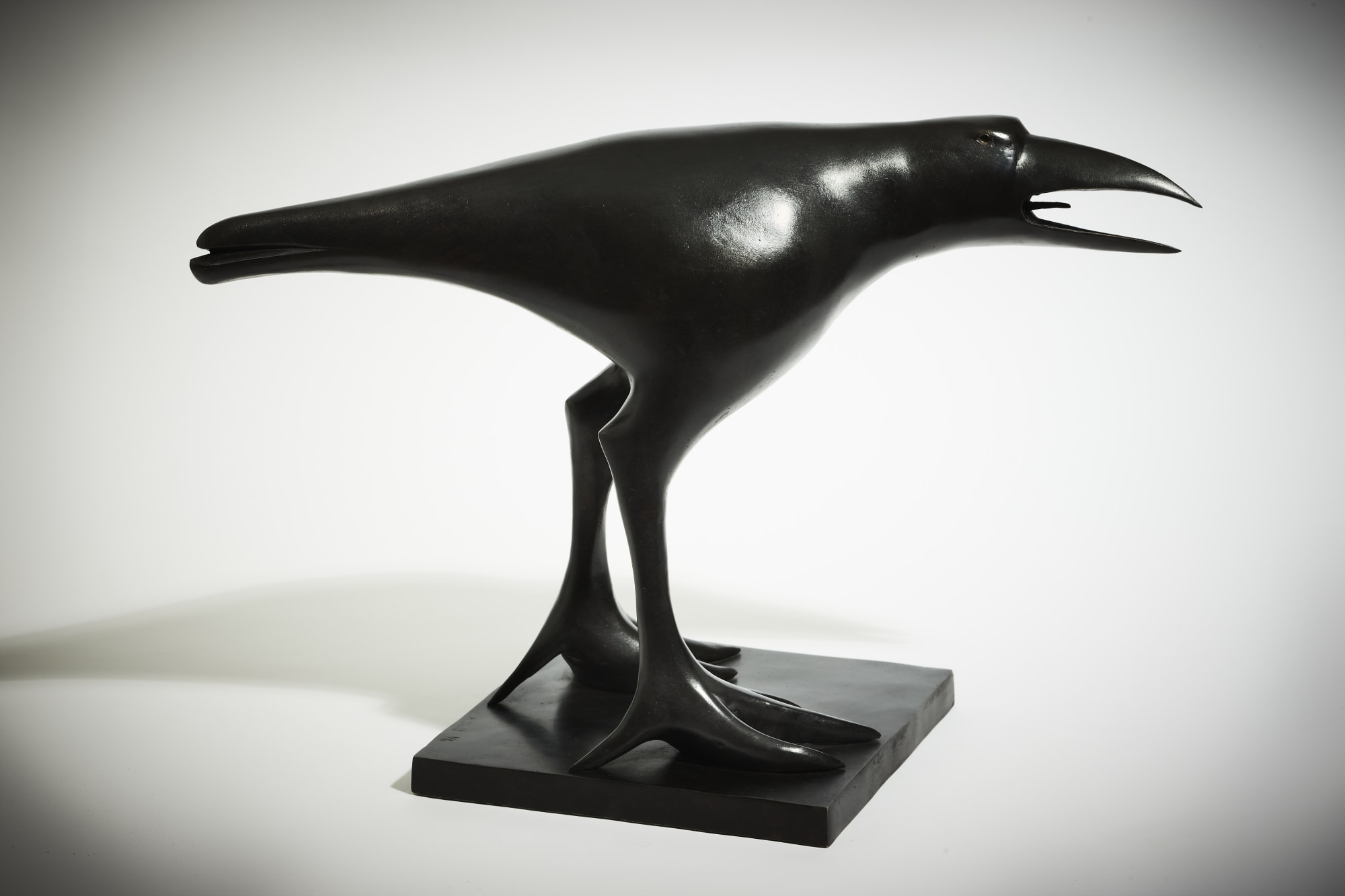 Anthony Scott RUA Morrigan