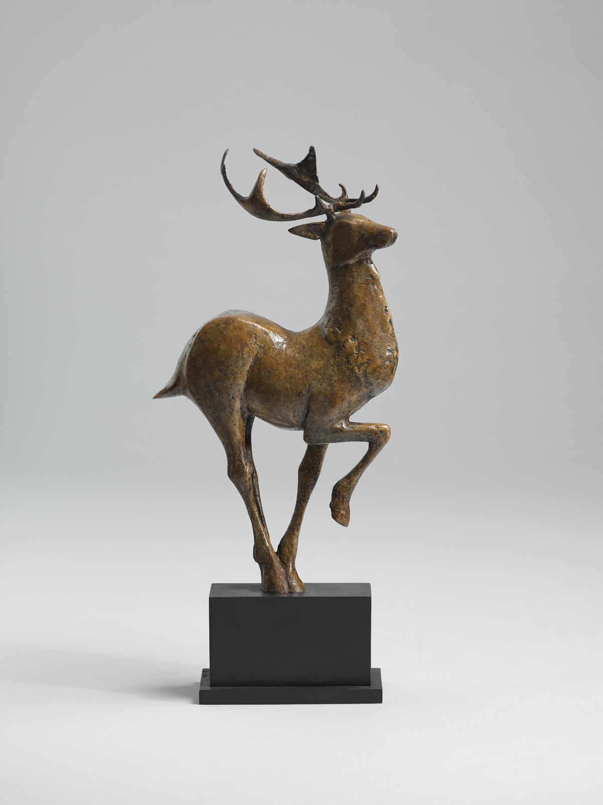 Peter Killeen Ruru Deer