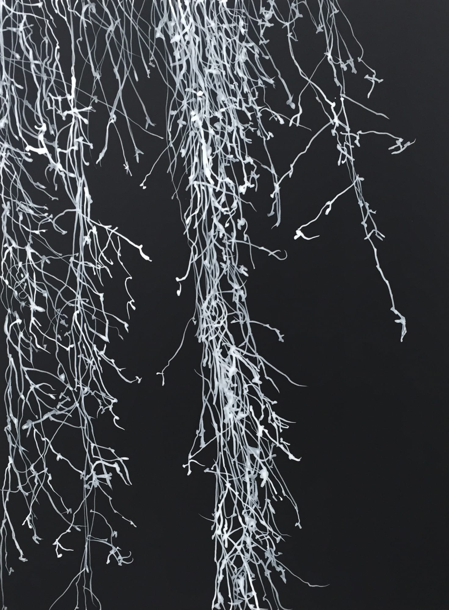 Waiting for the moon