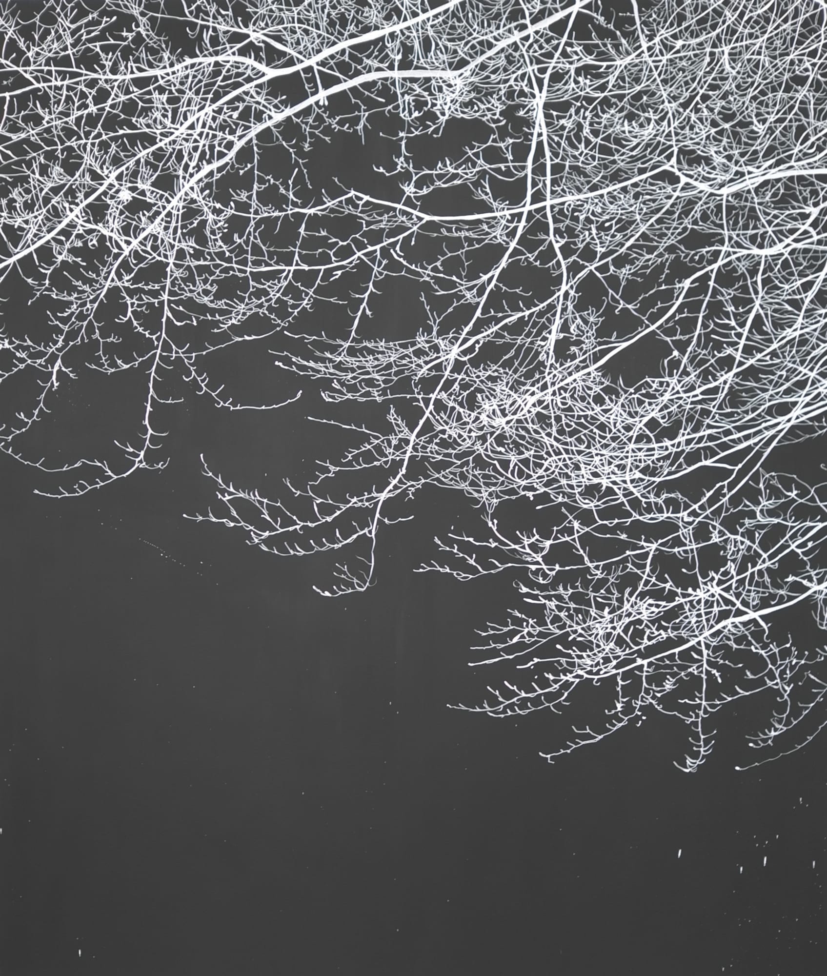 Waiting for the moon