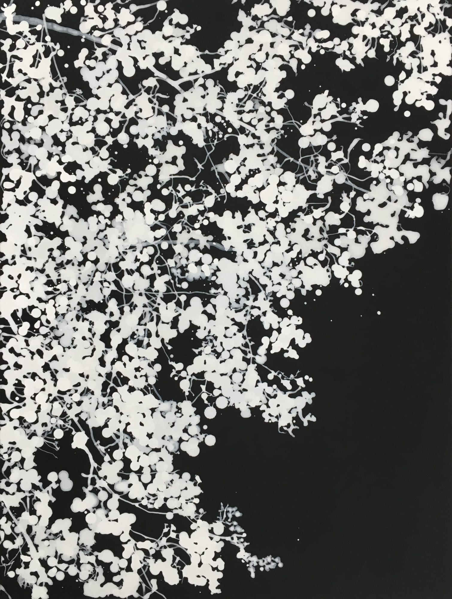 Waiting for the moon