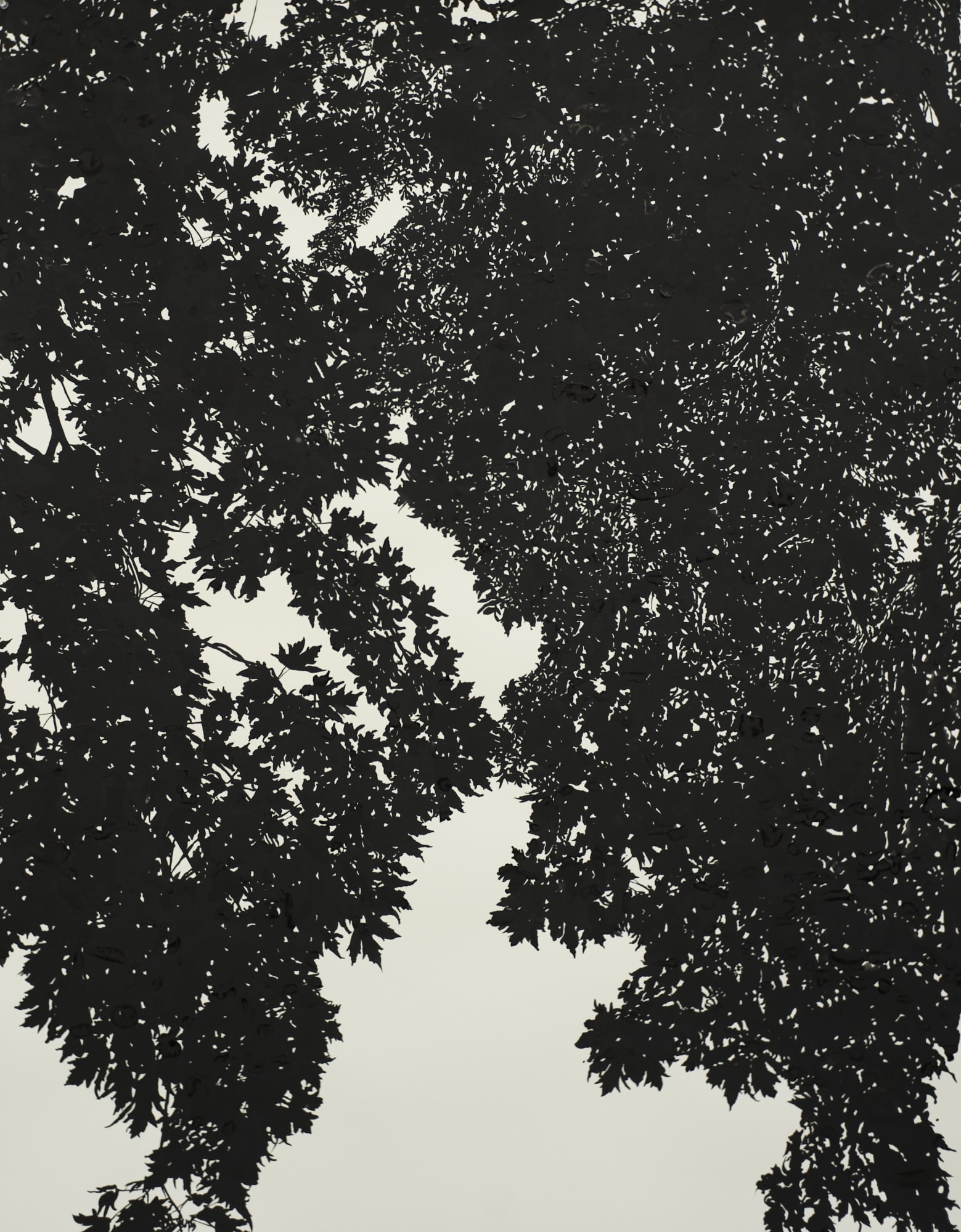 Waiting for the moon