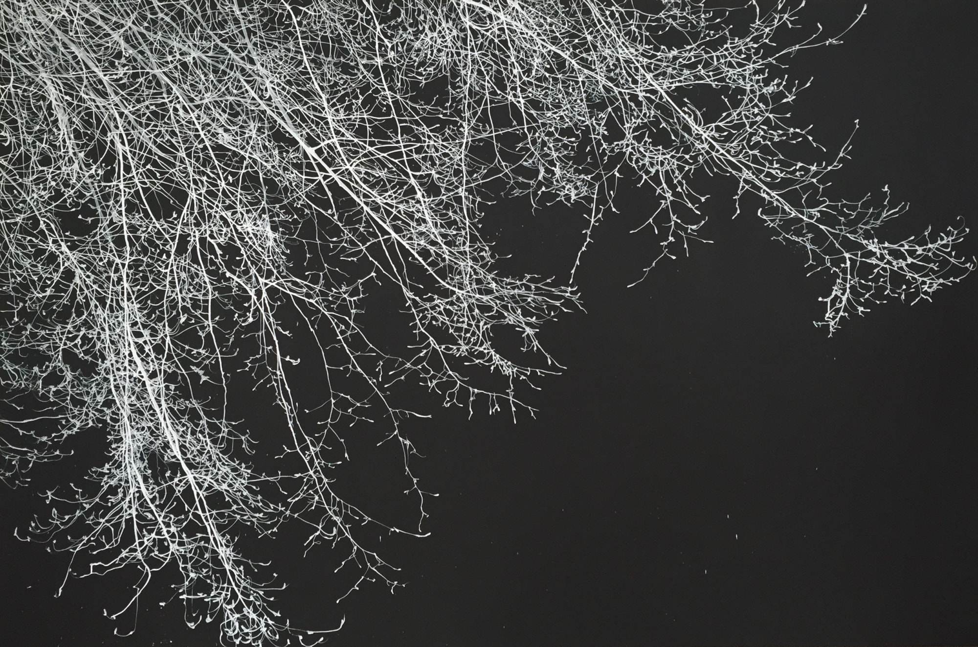 Waiting for the moon