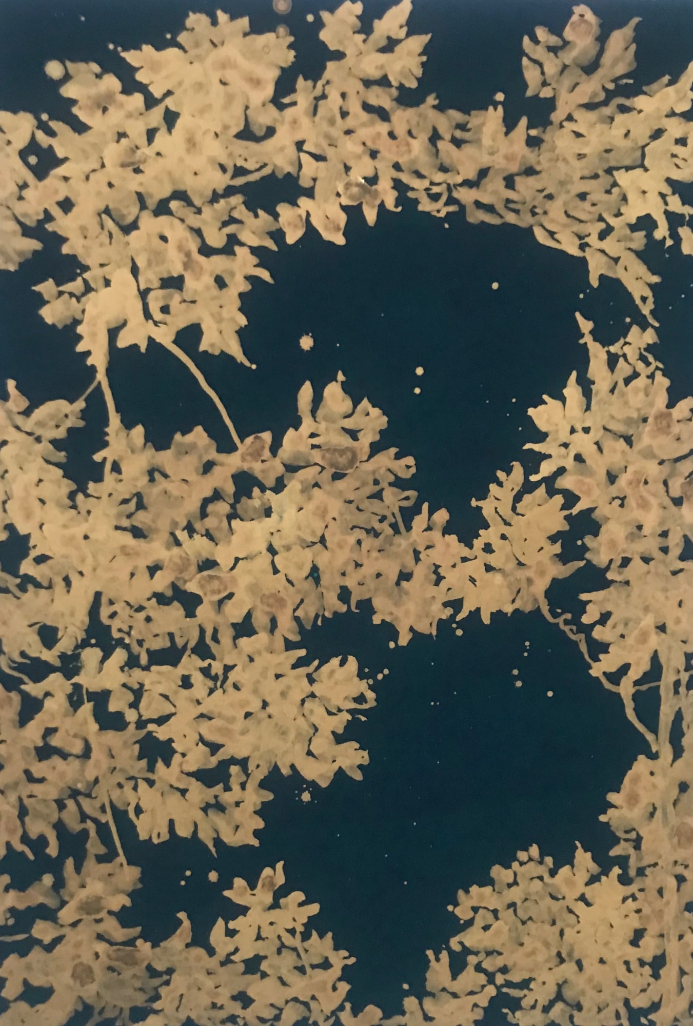 Call It Dreaming 2018