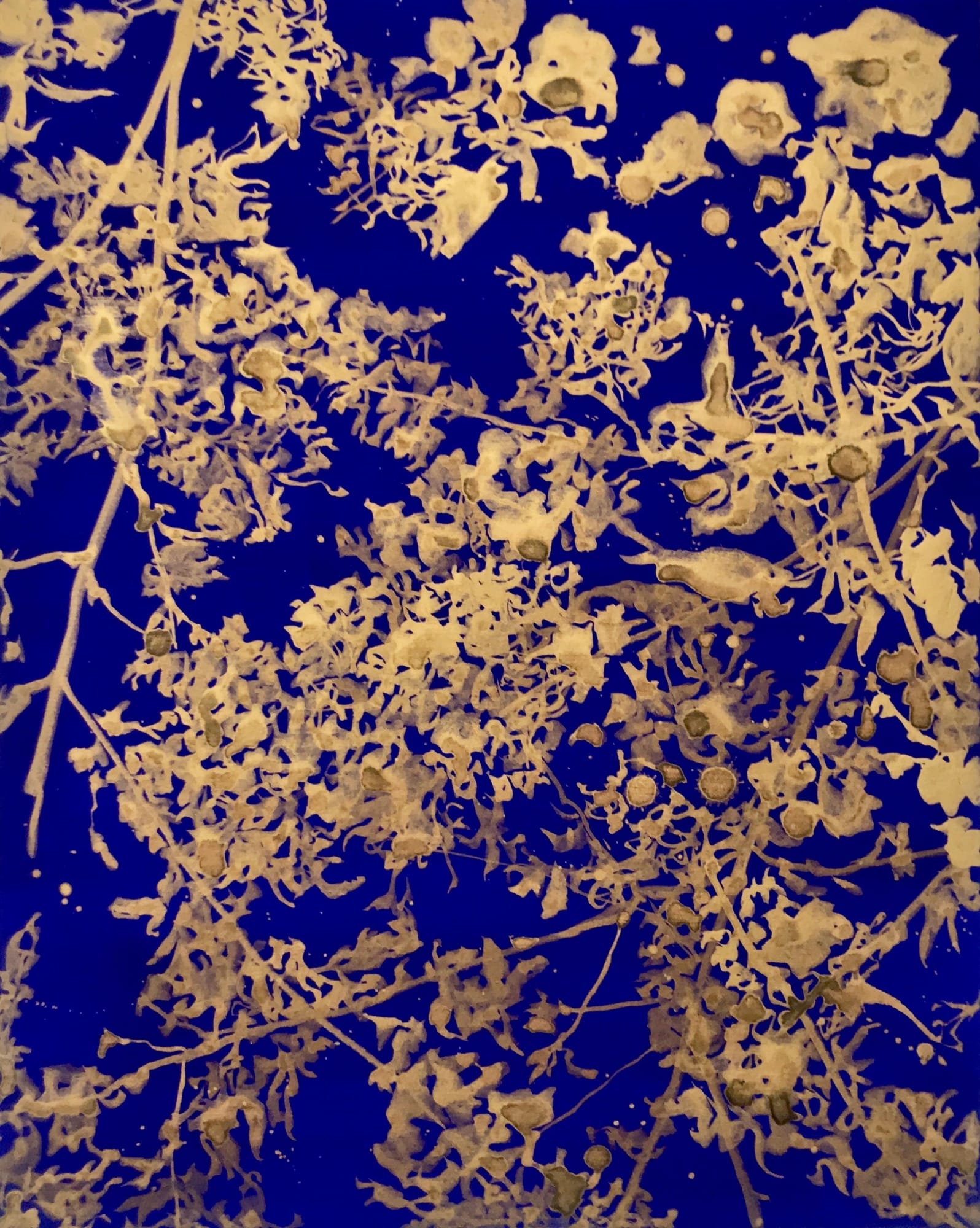 Forget Those Tears You Cried 2018