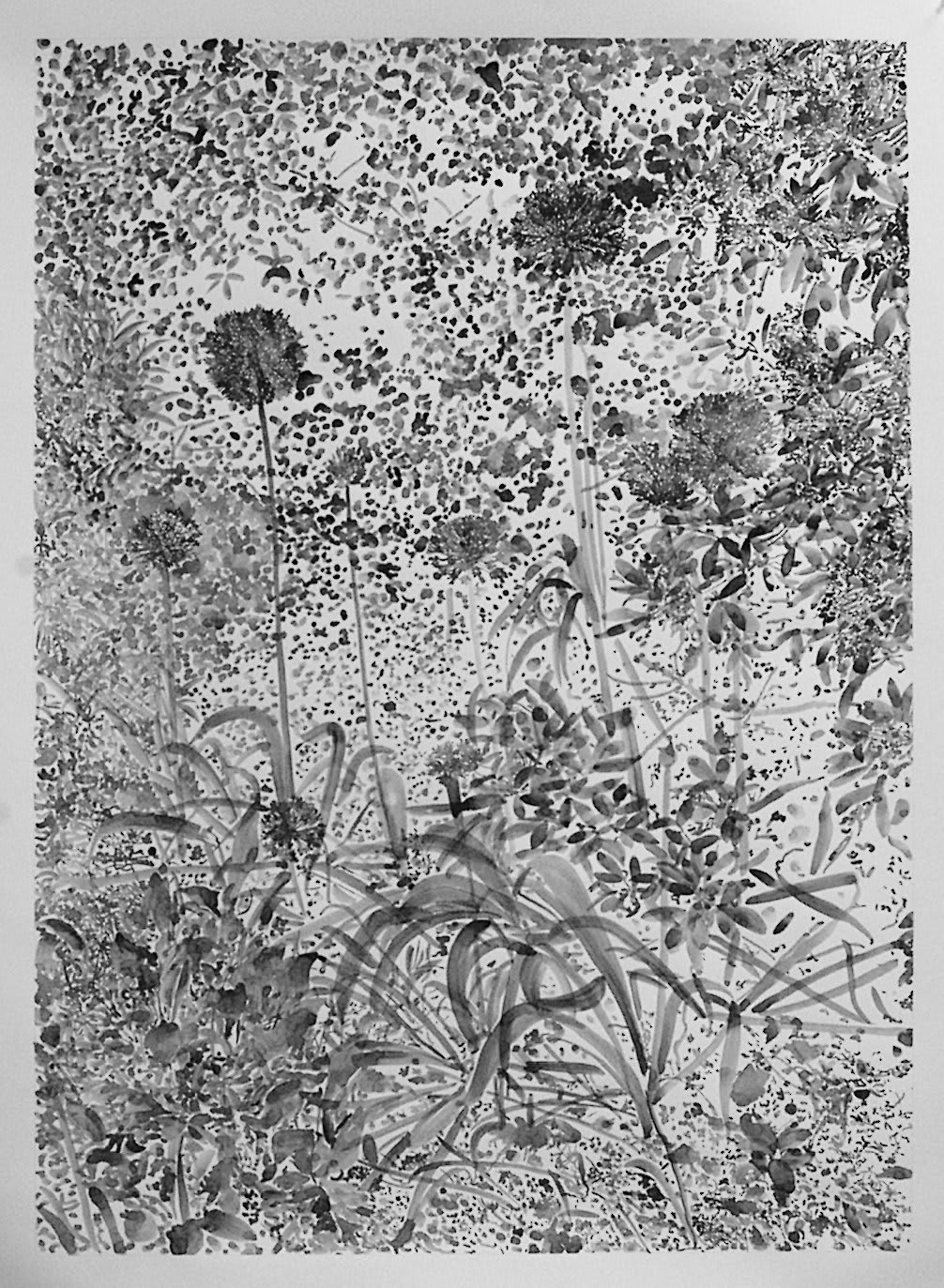 Courtyard Gallery, The National Botanic Garden of Wales