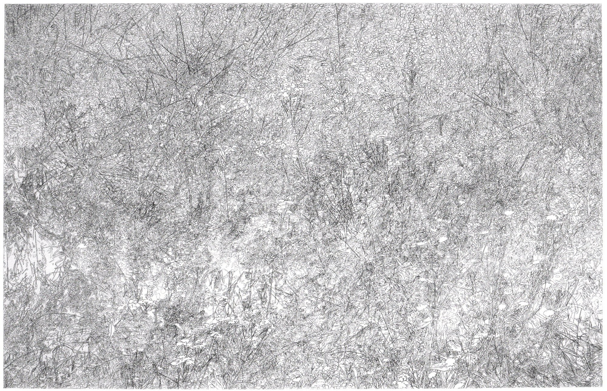 Courtyard Gallery, The National Botanic Garden of Wales