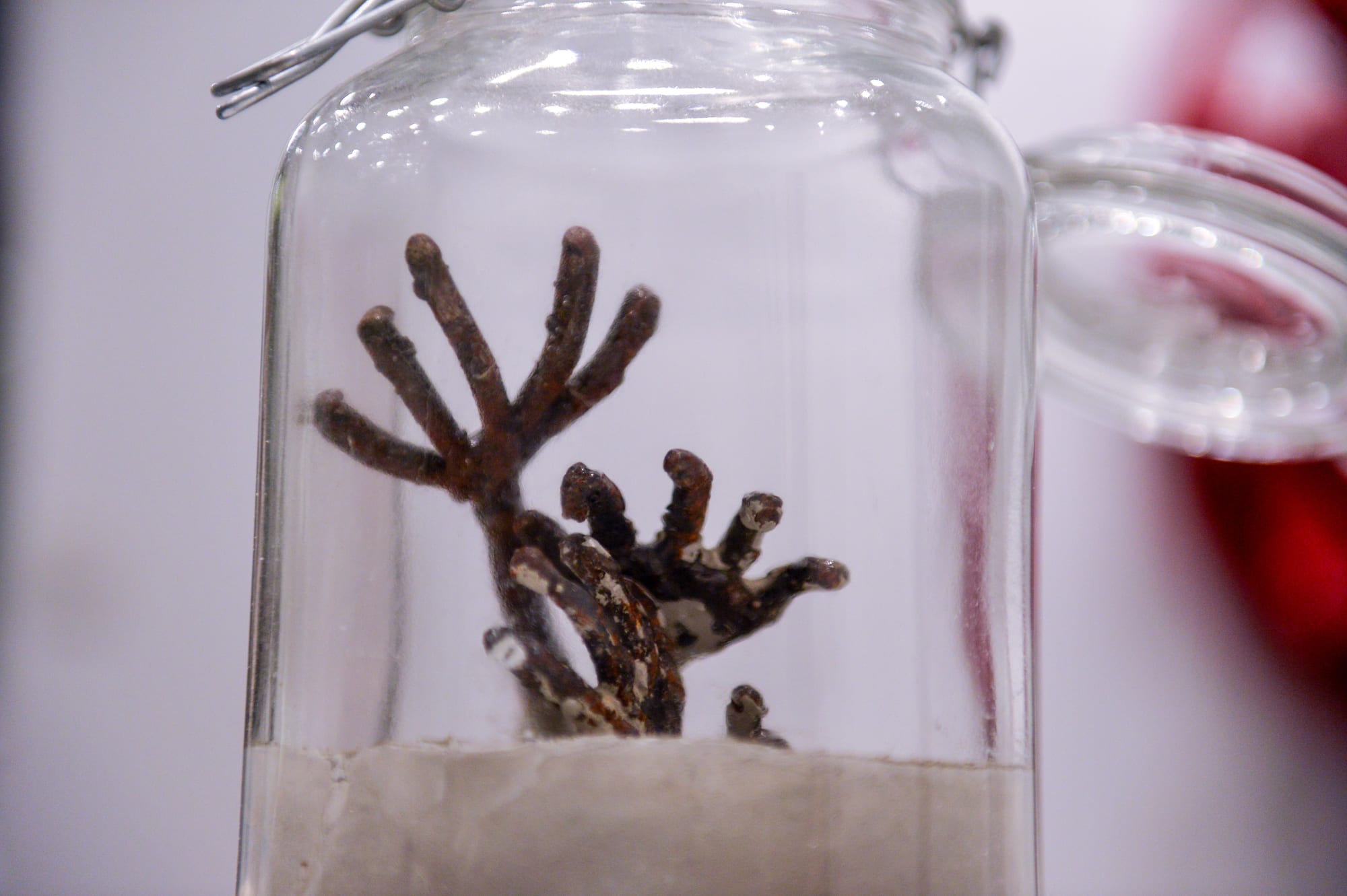 Saddek Wasil, Solo Exhibition