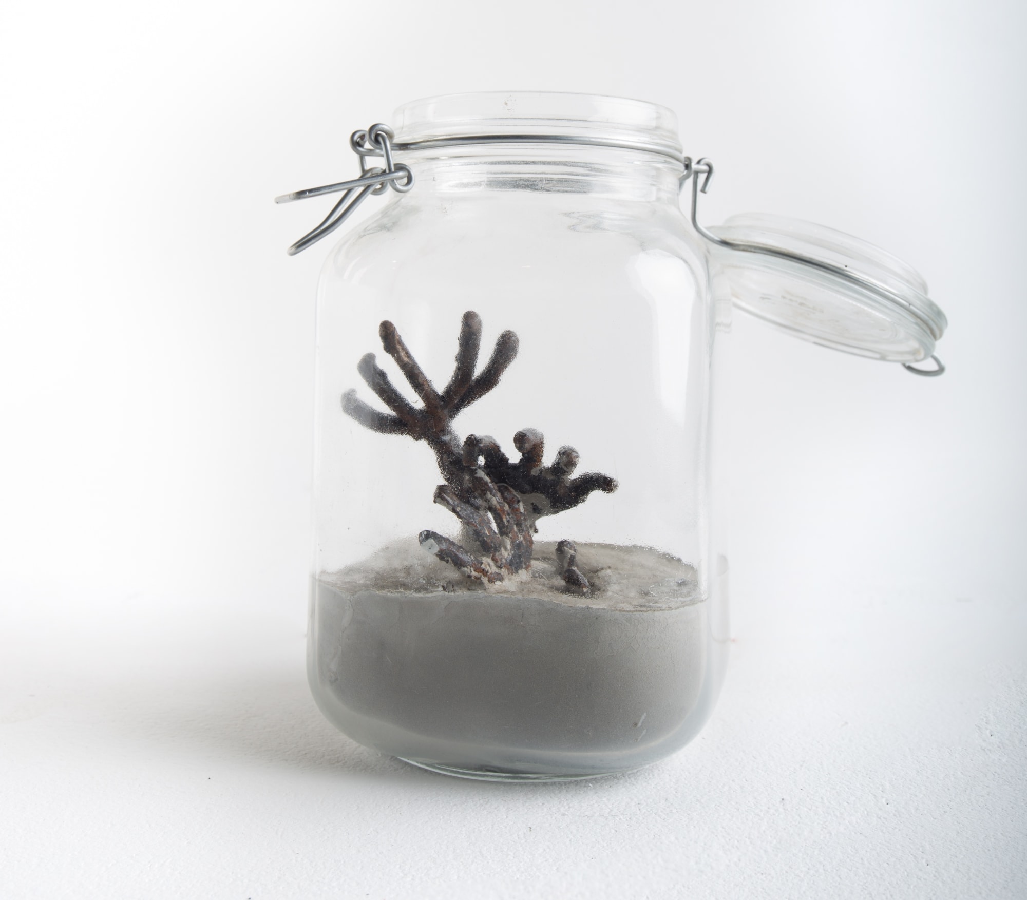 Saddek Wasil, Solo Exhibition