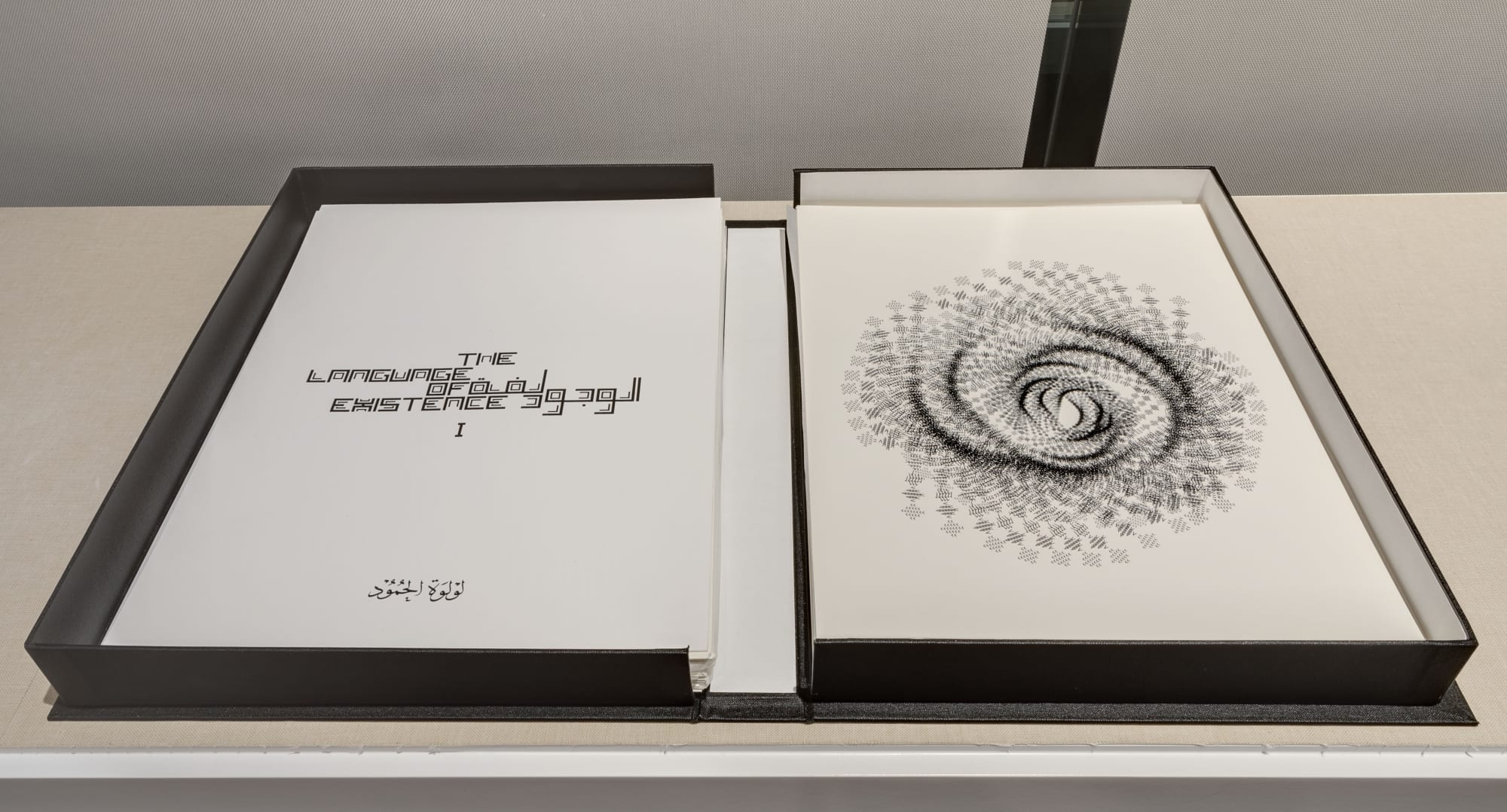 The Language of Existence, Limited Edition Book of 25 portfolios with 50 different artworks, 30 x 40 cm, Silkscreen on archival paper, 2018