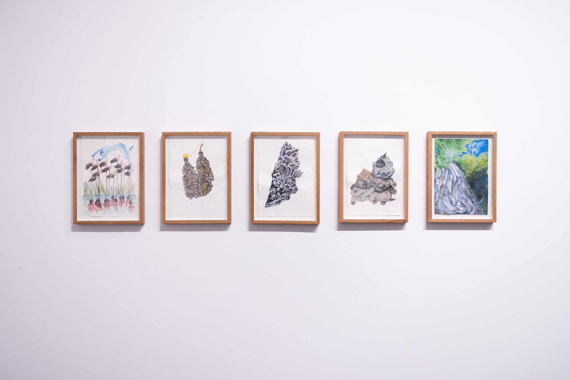 Mirrors from the Sidewalk