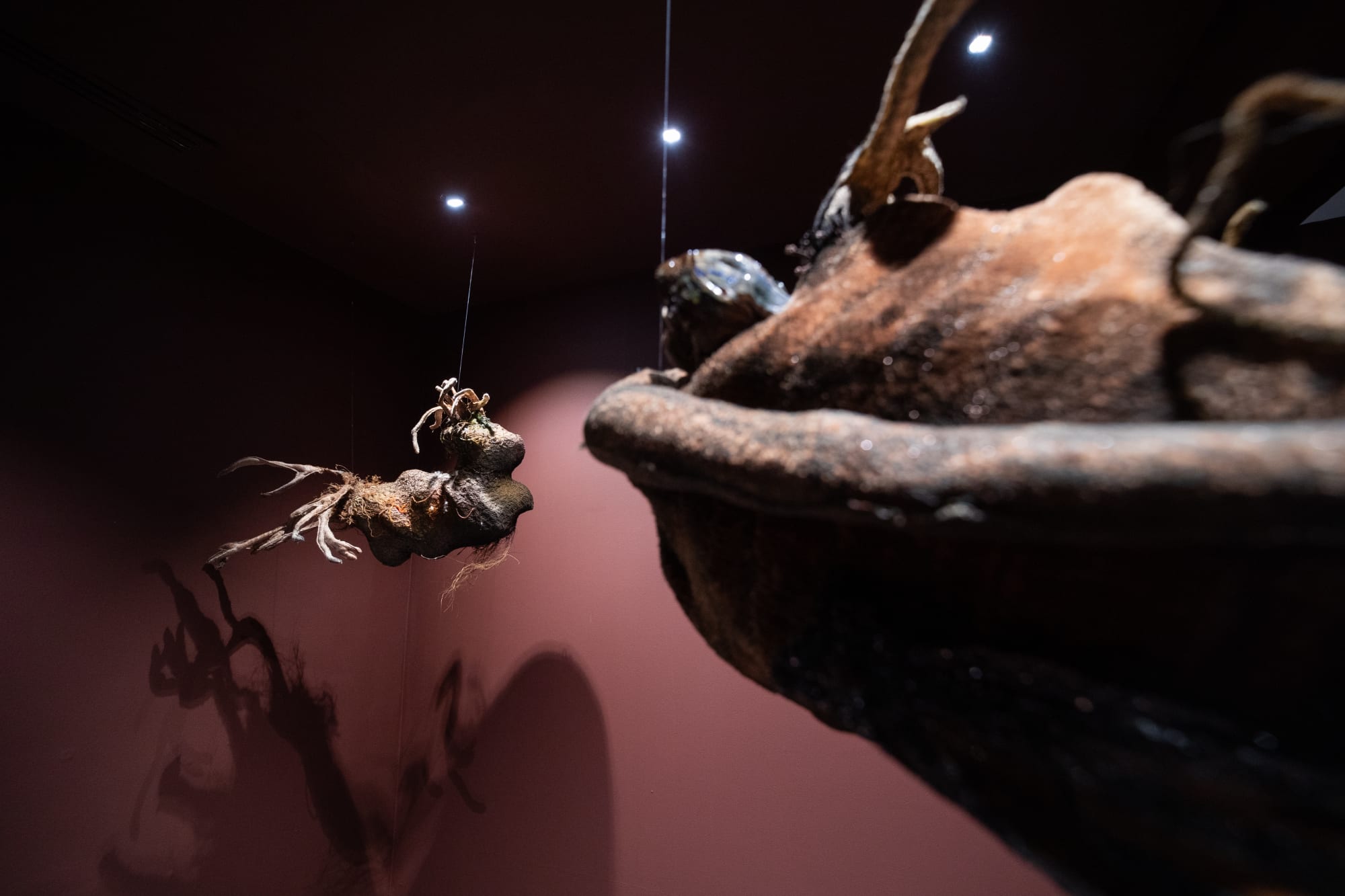 Across a Velvet Horizon