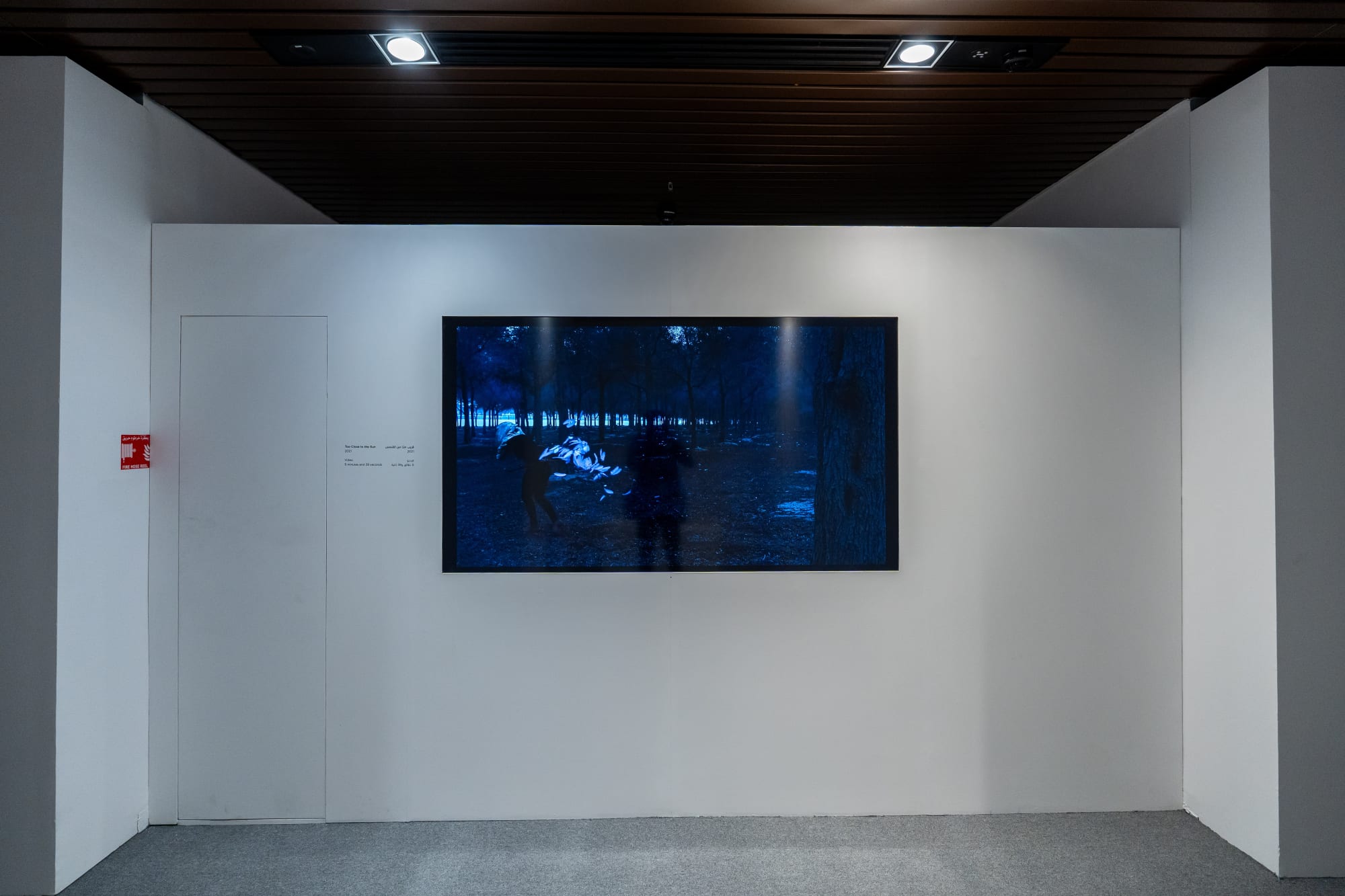 Maitha Abdalla | Between Metamorphosis and Reality