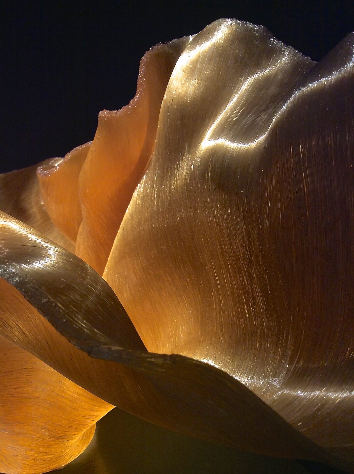 TALLER, LONGER, CRUMPLED