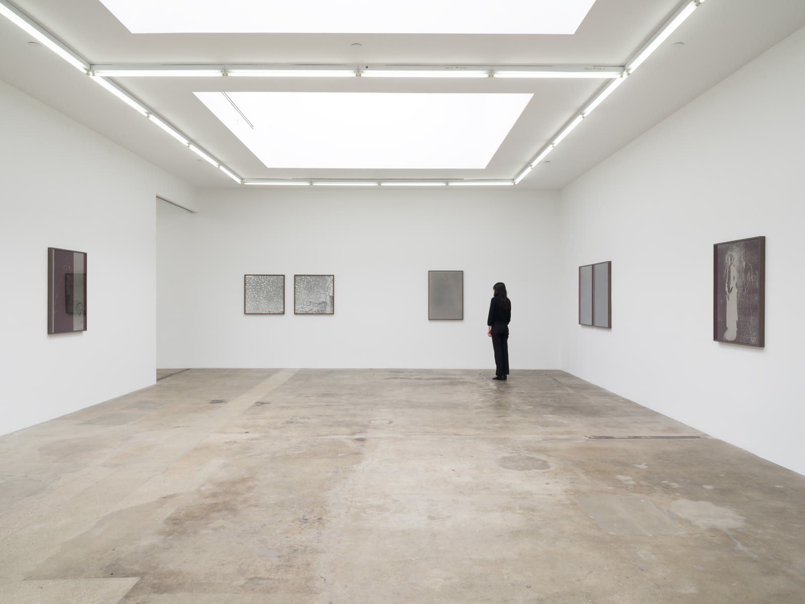 Lisa Oppenheim installation image