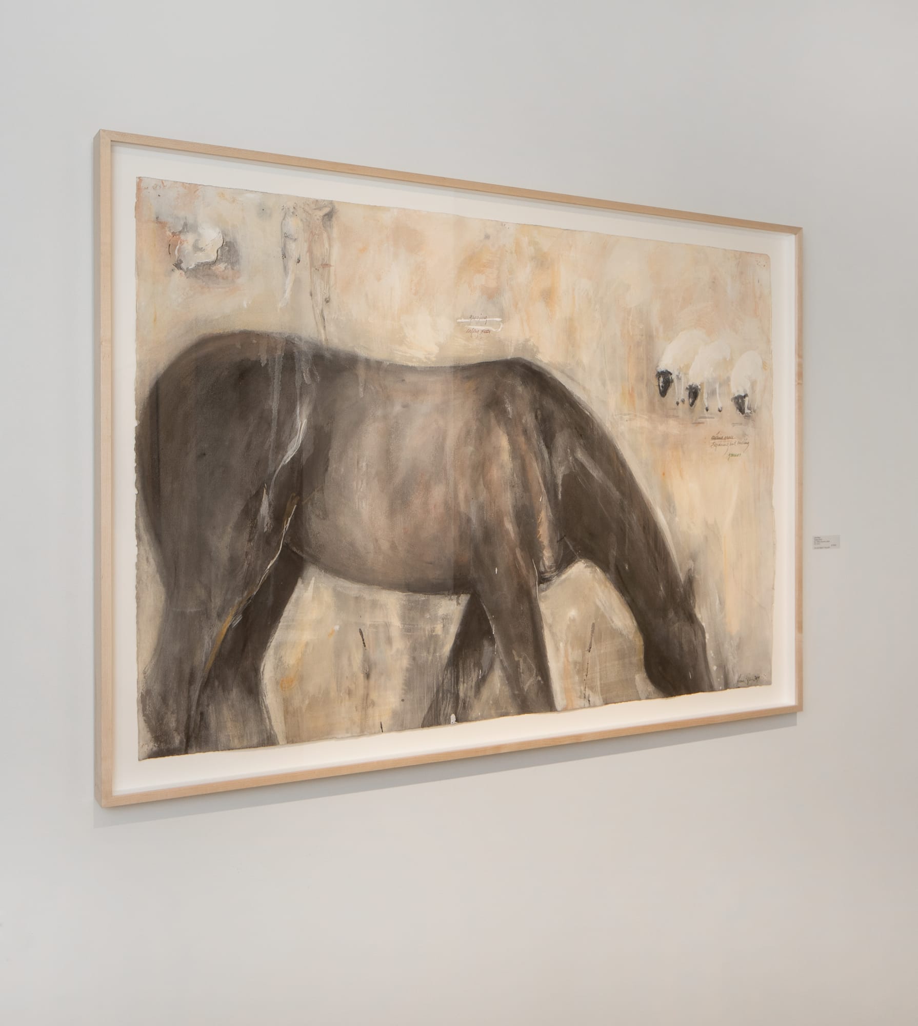 Jane Rosen | Ranch Life