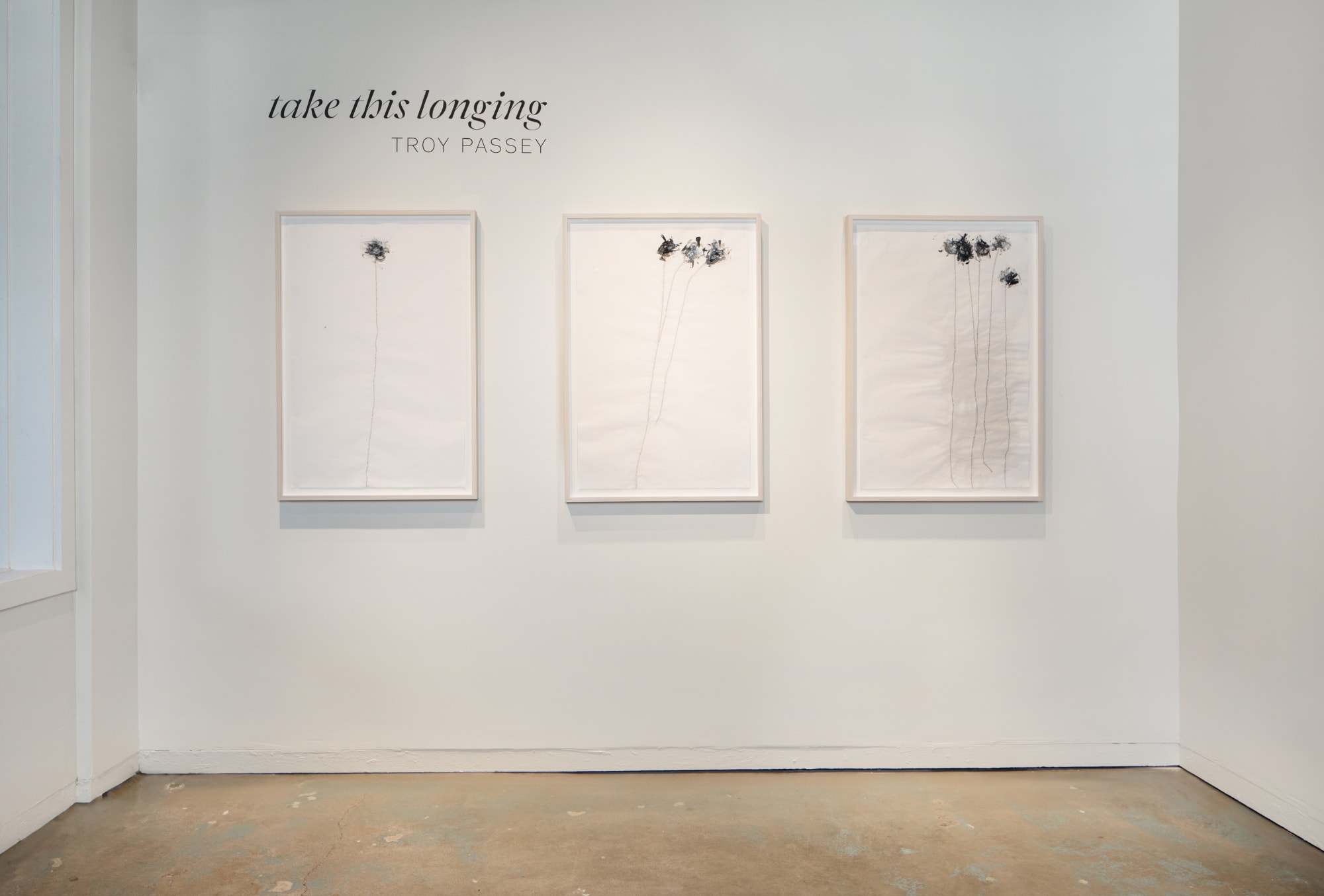 Troy Passey | Take This Longing